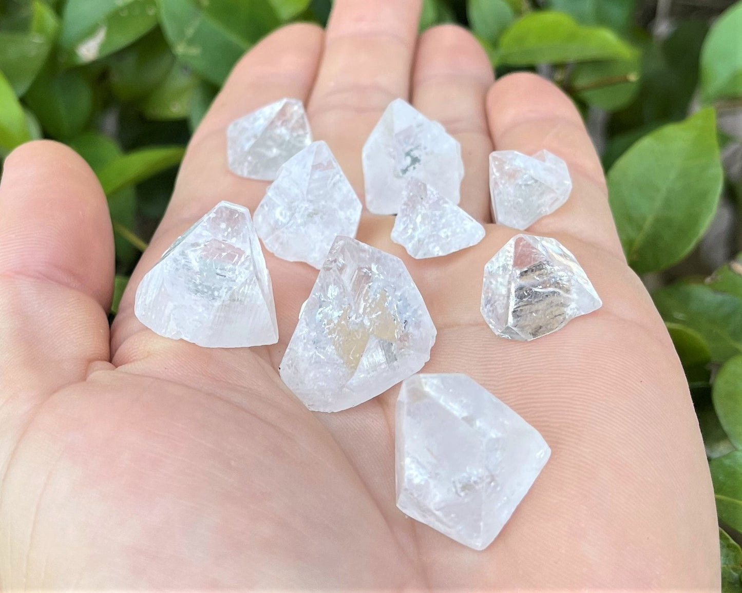 5 Pack Apophyllite Crystal