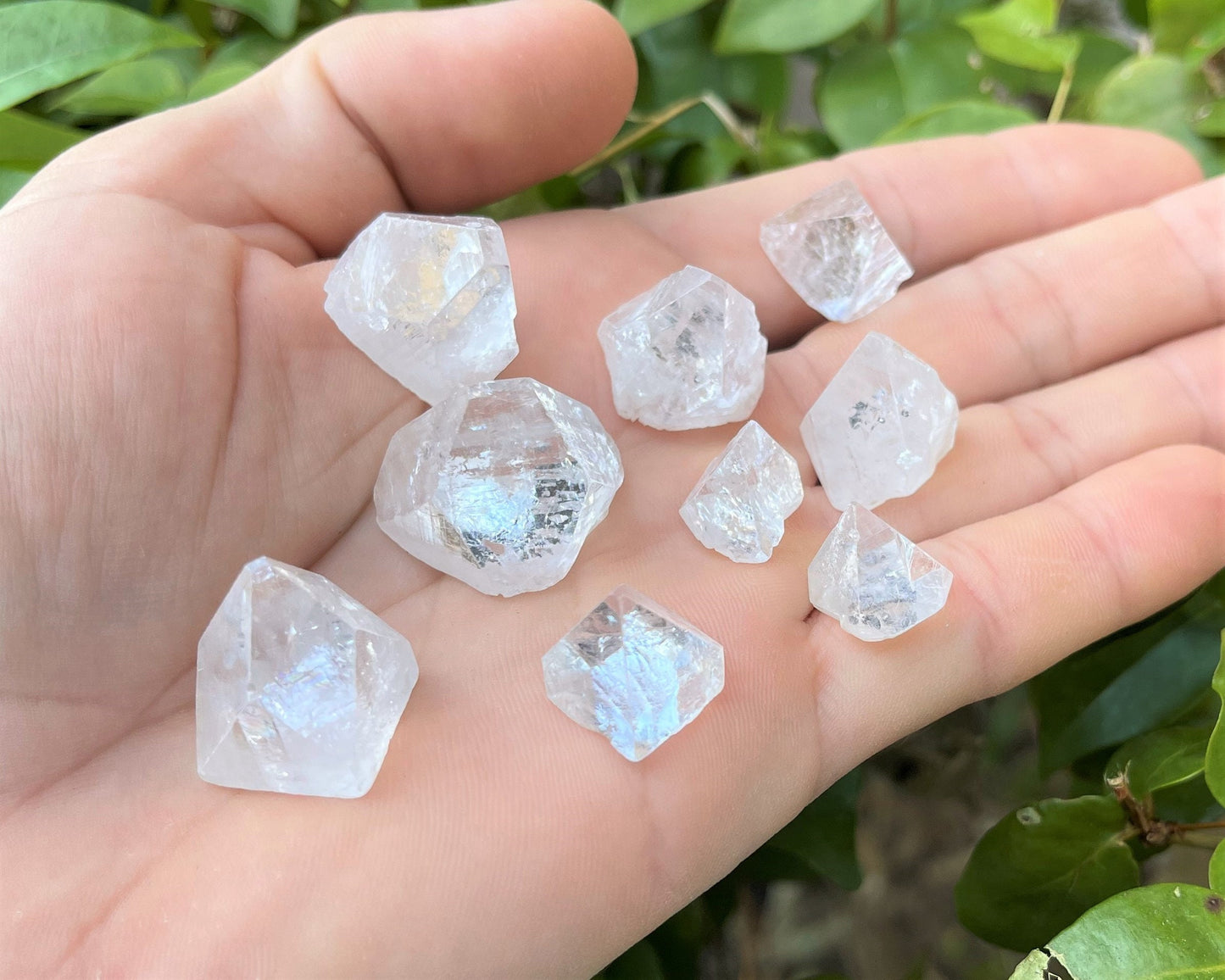 5 Pack Apophyllite Crystal