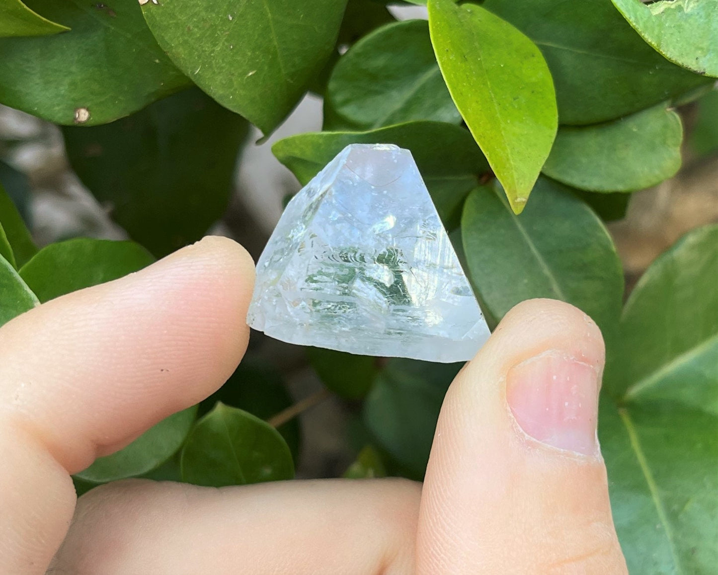 5 Pack Apophyllite Crystal