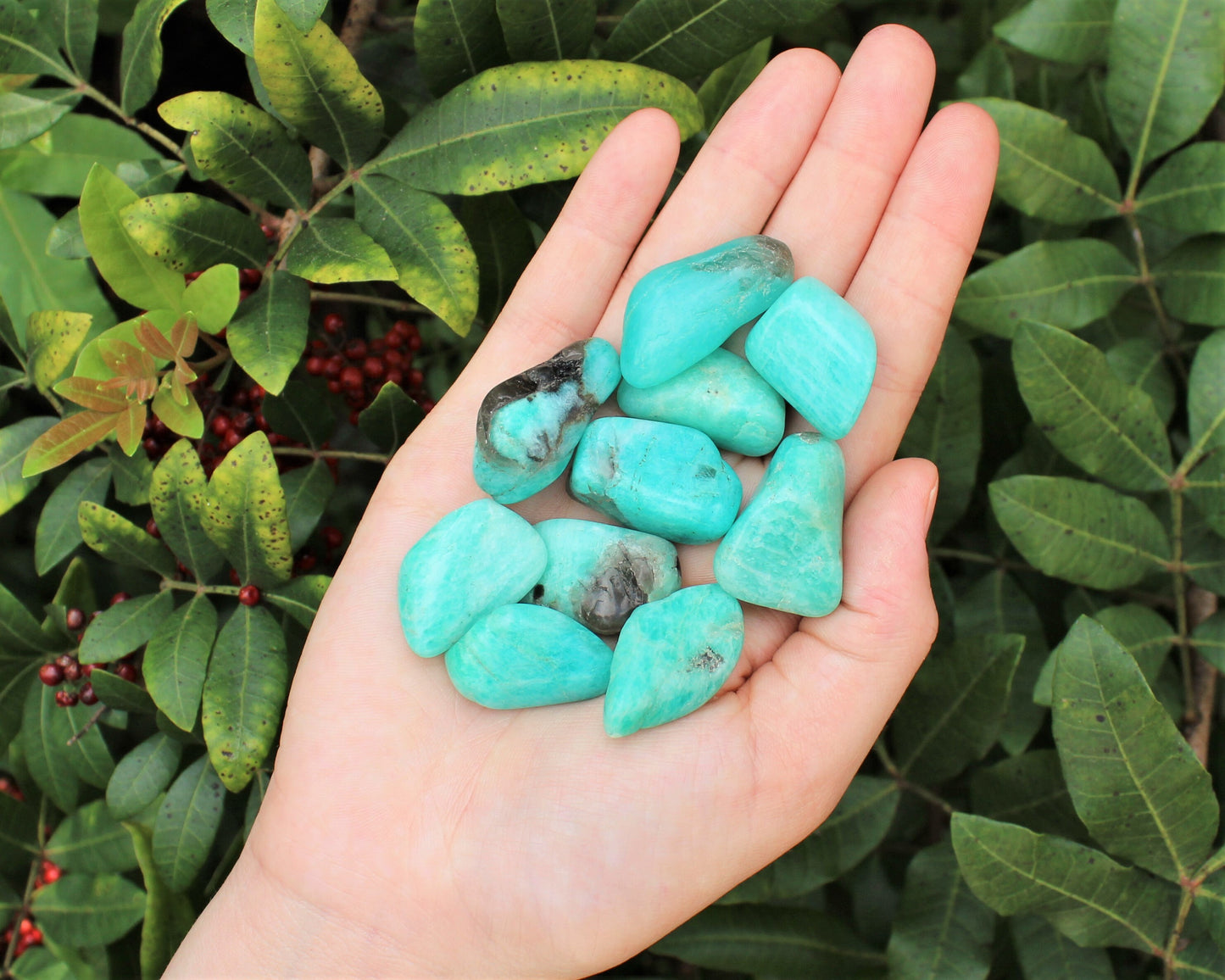 Amazonite Rough Natural And Tumbled Stones Set