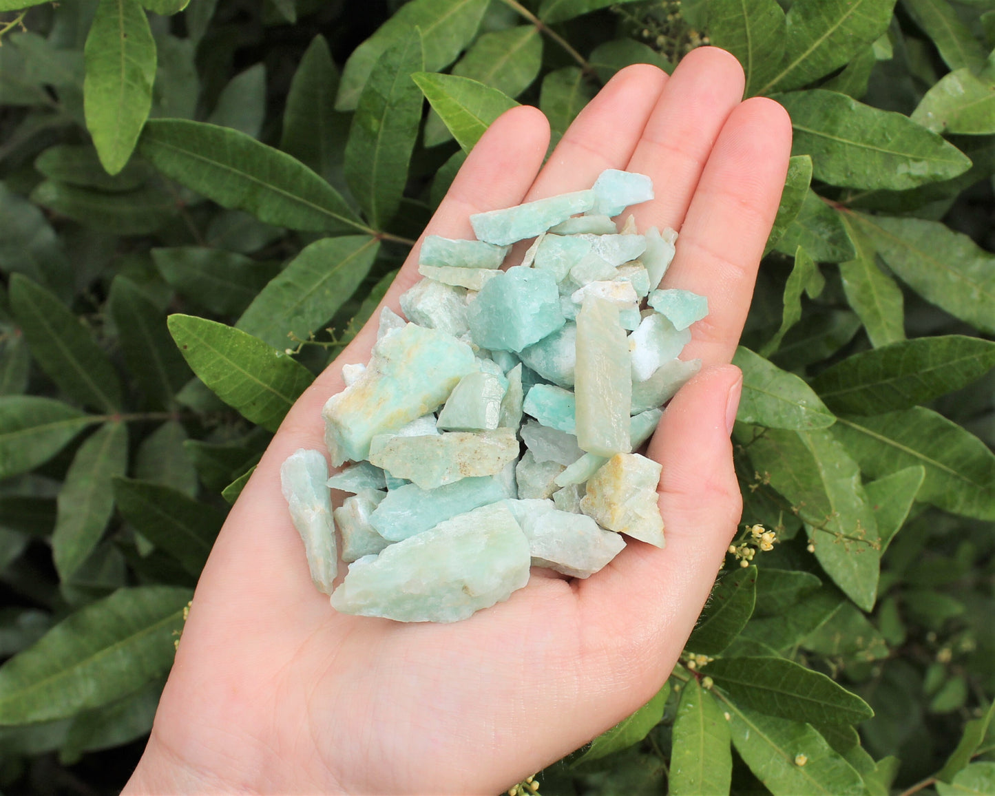 Amazonite Rough Natural Crystal Chips