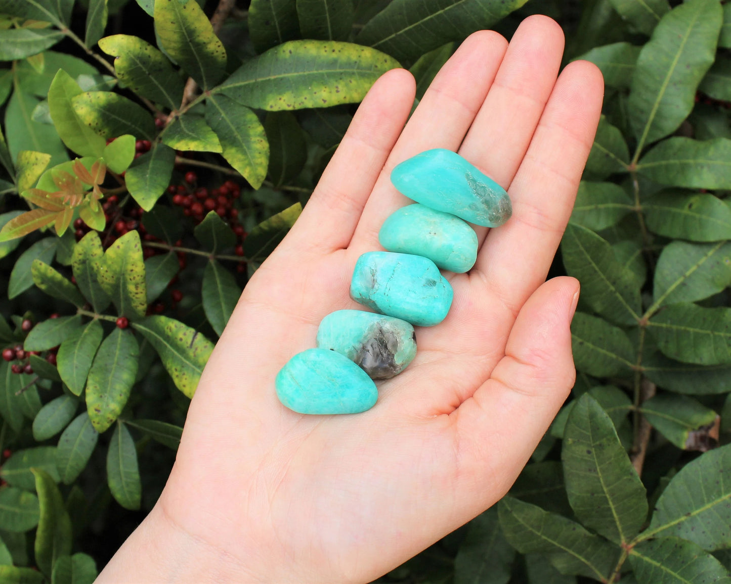Amazonite Tumbled Stones
