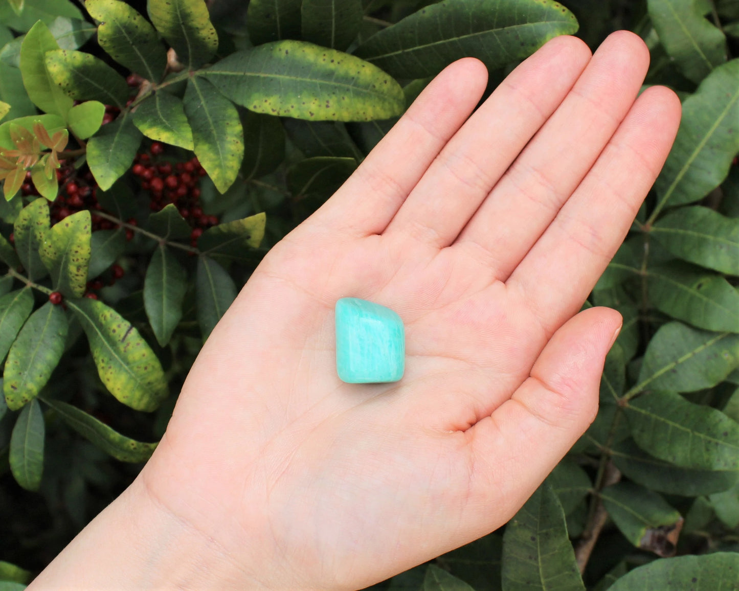Amazonite Tumbled Stones