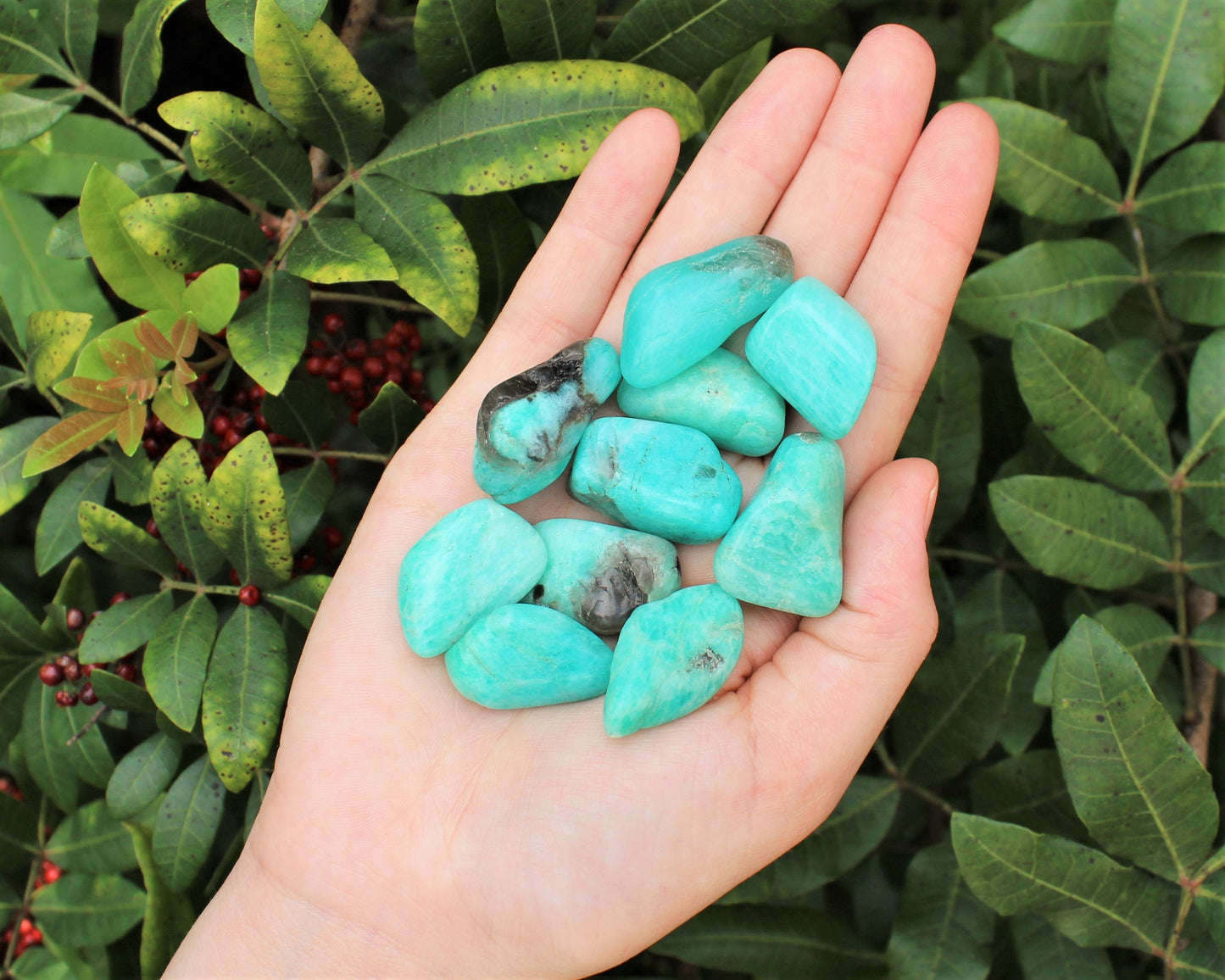 Amazonite Tumbled Stones
