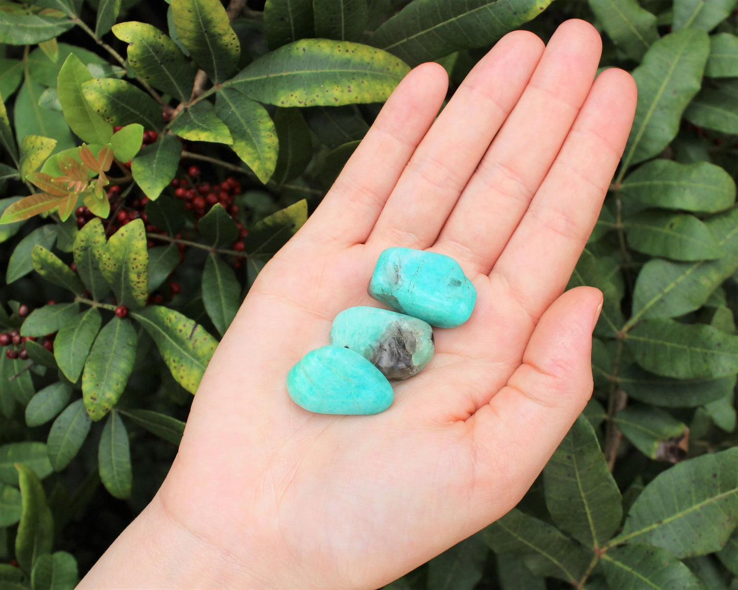 Amazonite Tumbled Stones
