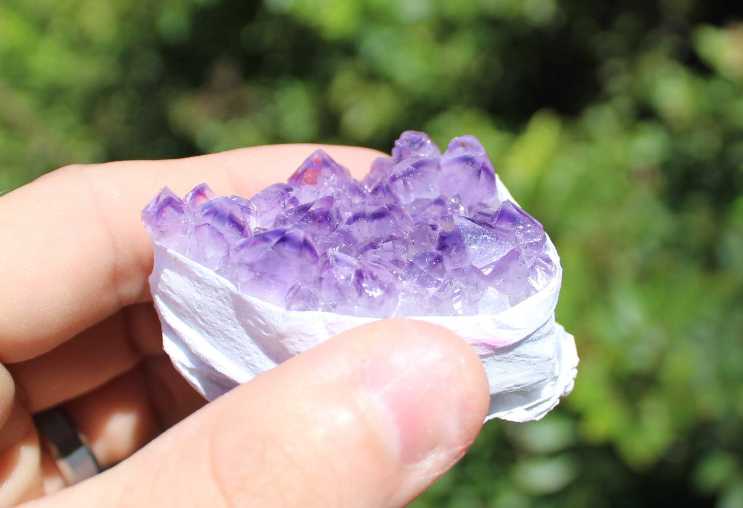 Amethyst Citrine And Celestite Crystal Cluster Collection