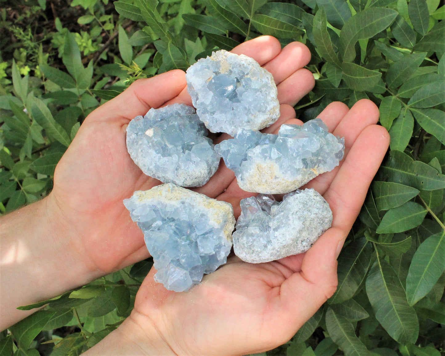 Amethyst Citrine And Celestite Crystal Cluster Collection