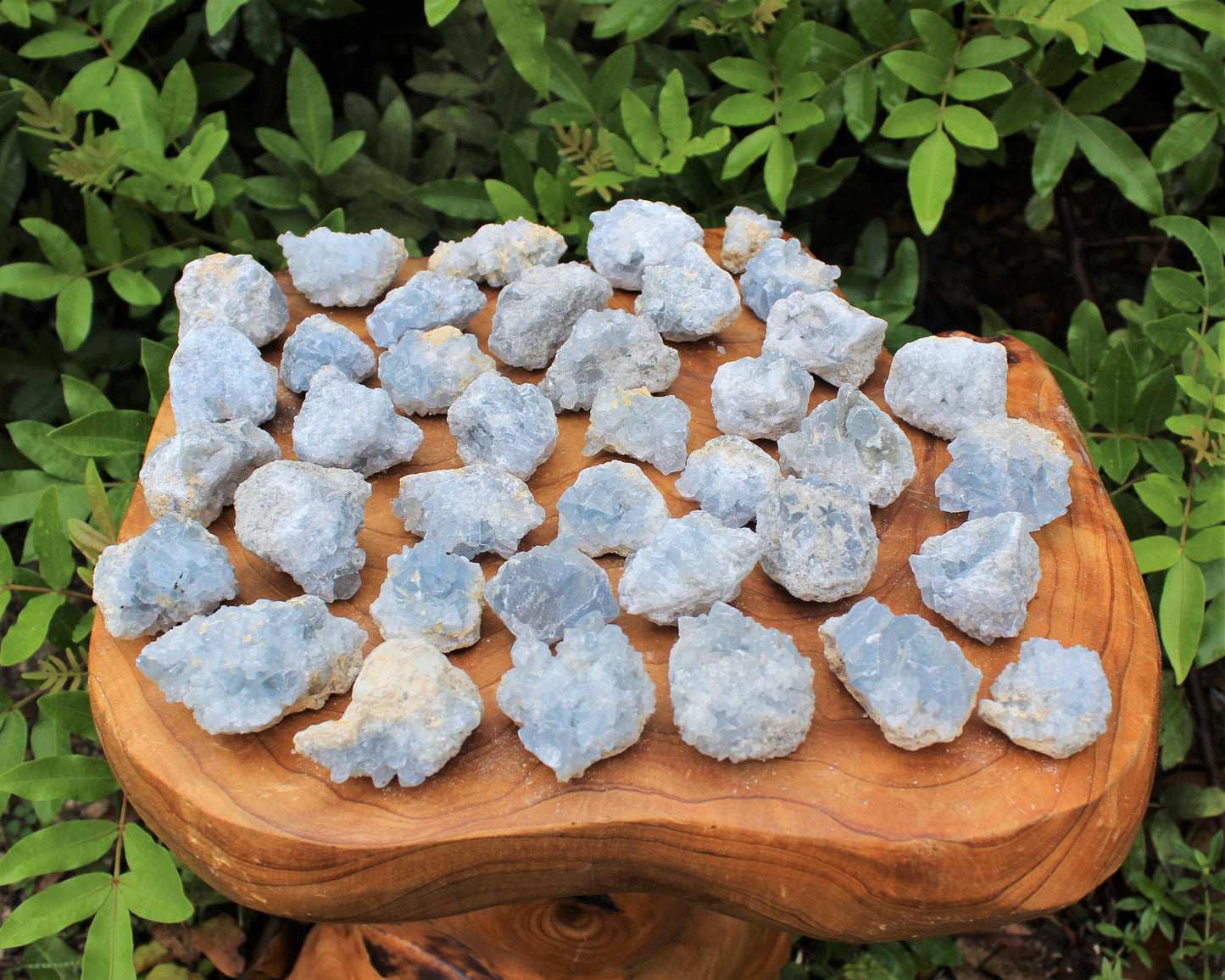 Amethyst Citrine And Celestite Crystal Cluster Collection