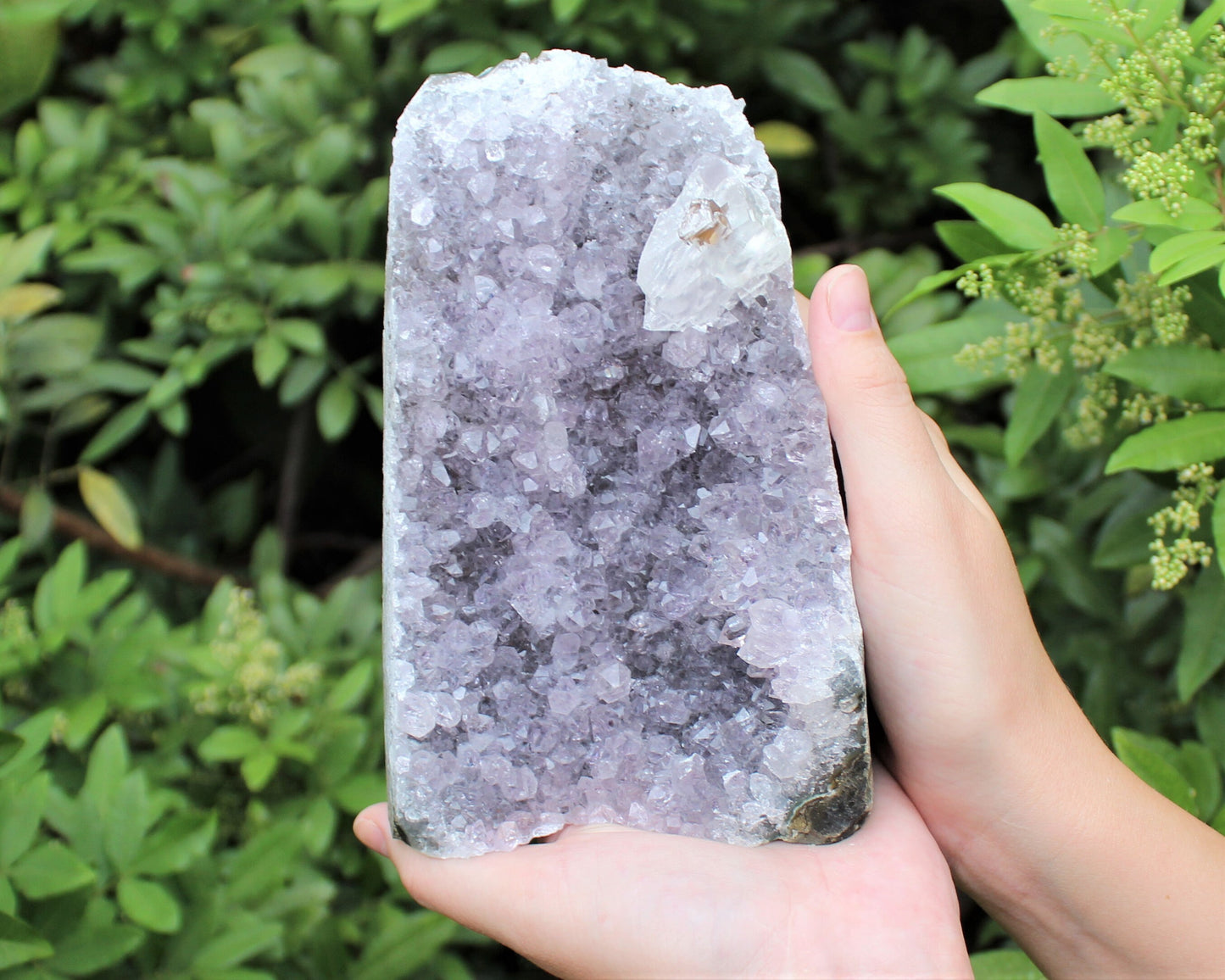Amethyst Free Standing Crystals