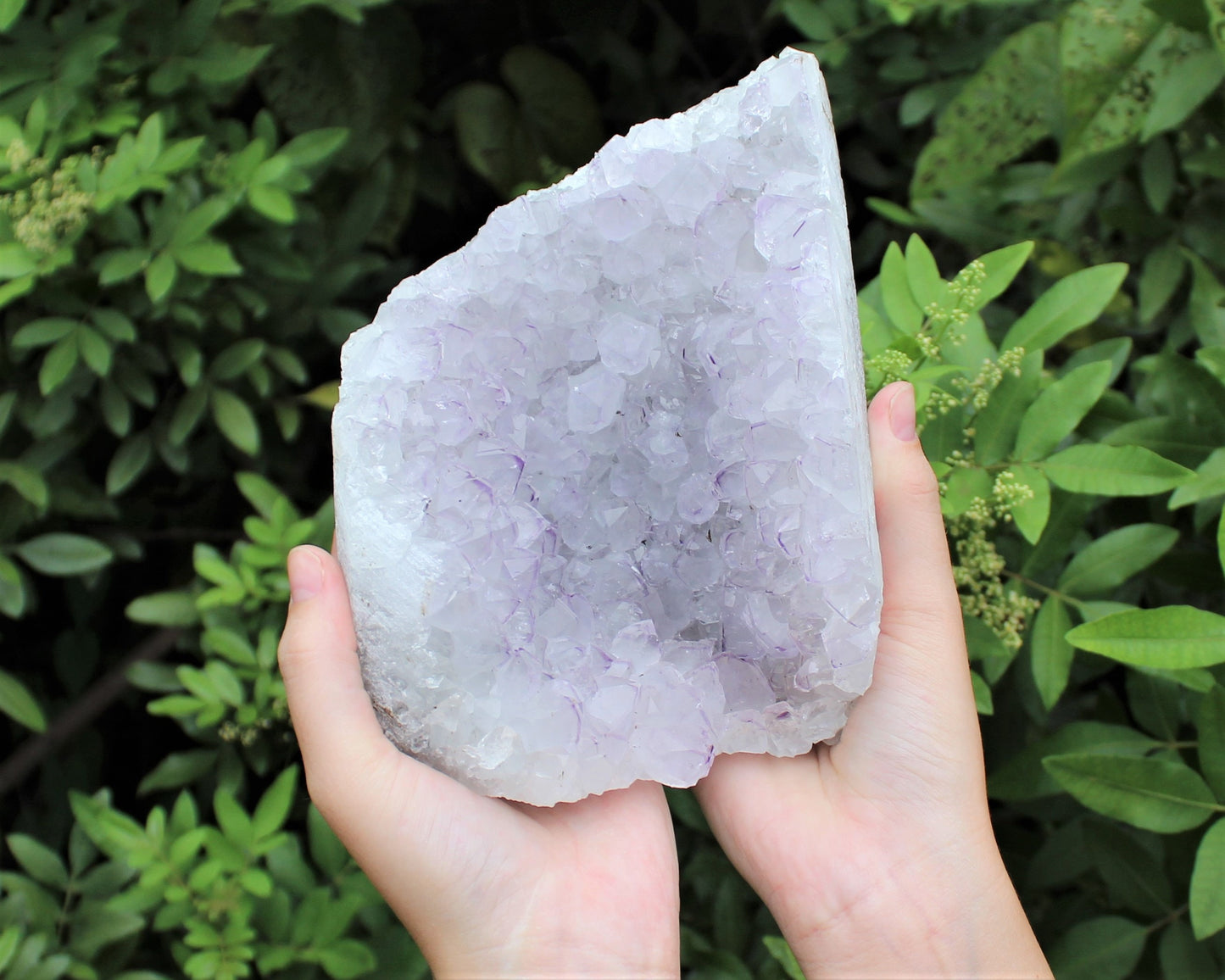 Amethyst Free Standing Crystals