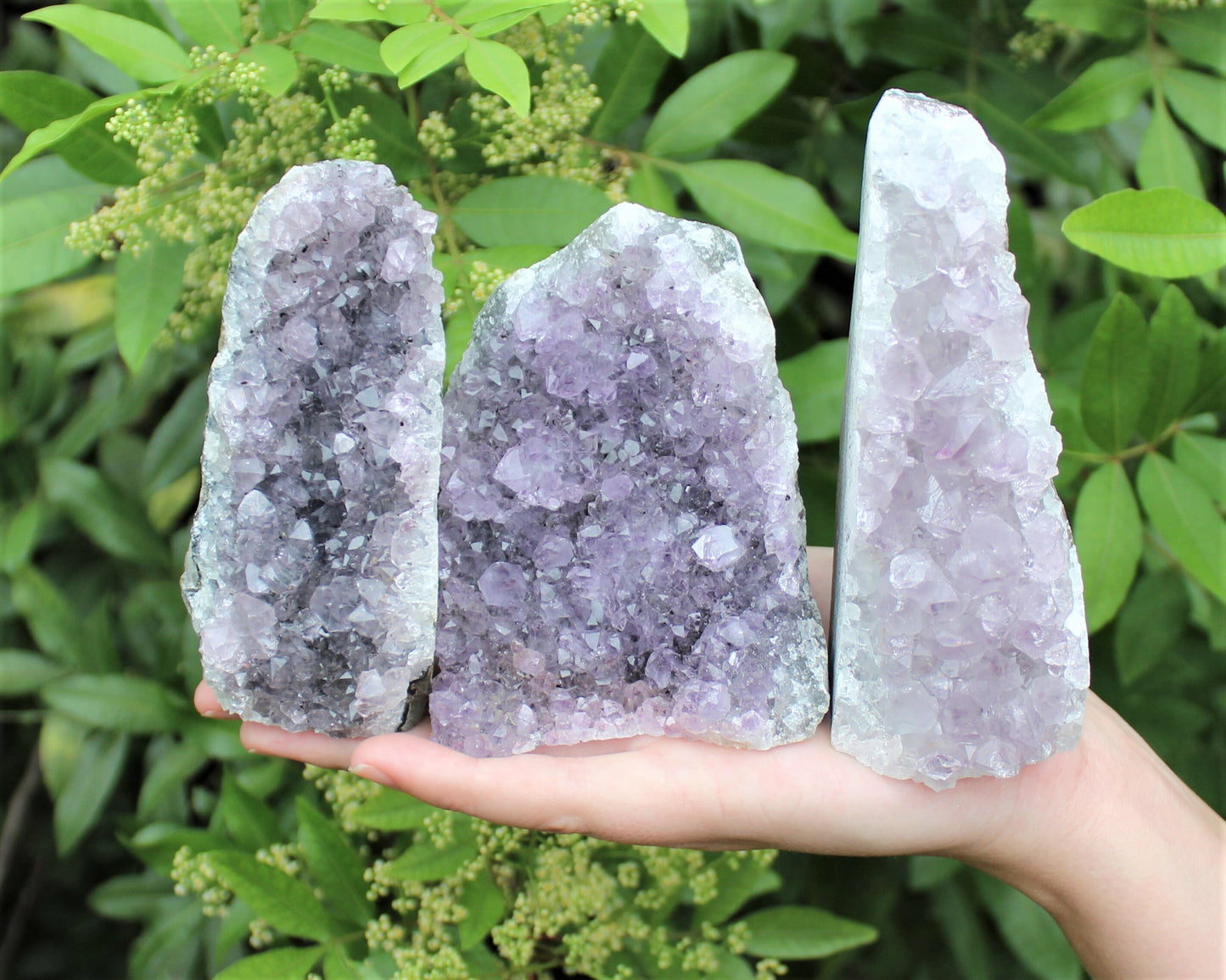 Amethyst Free Standing Crystals