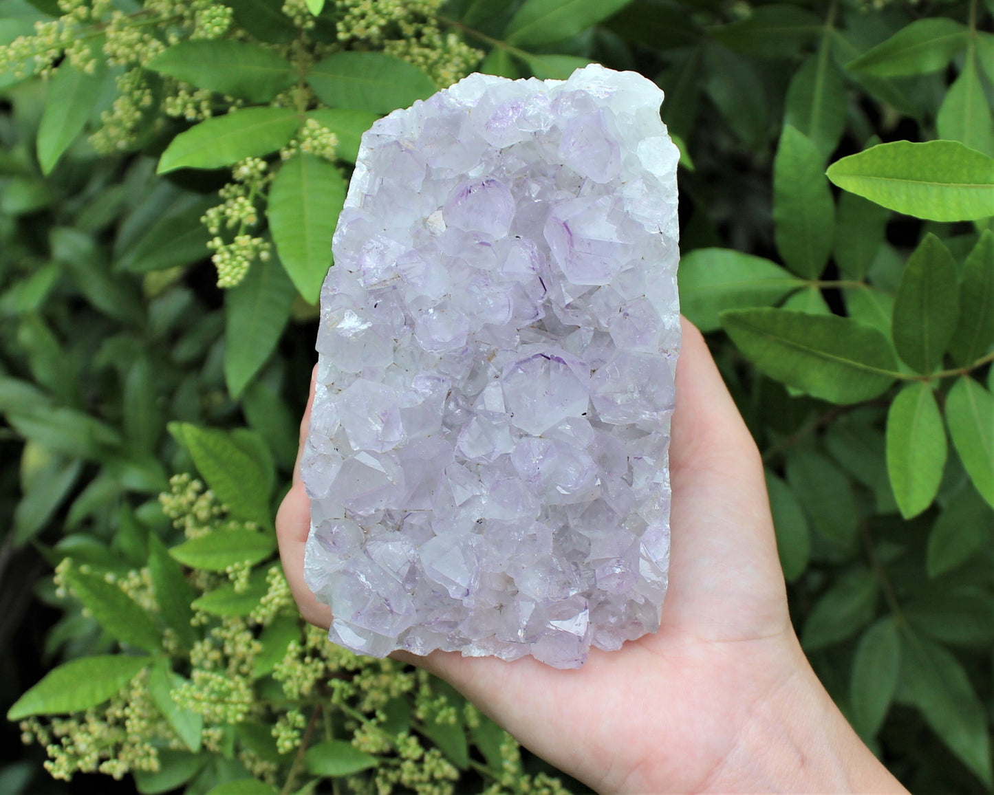Amethyst Free Standing Crystals