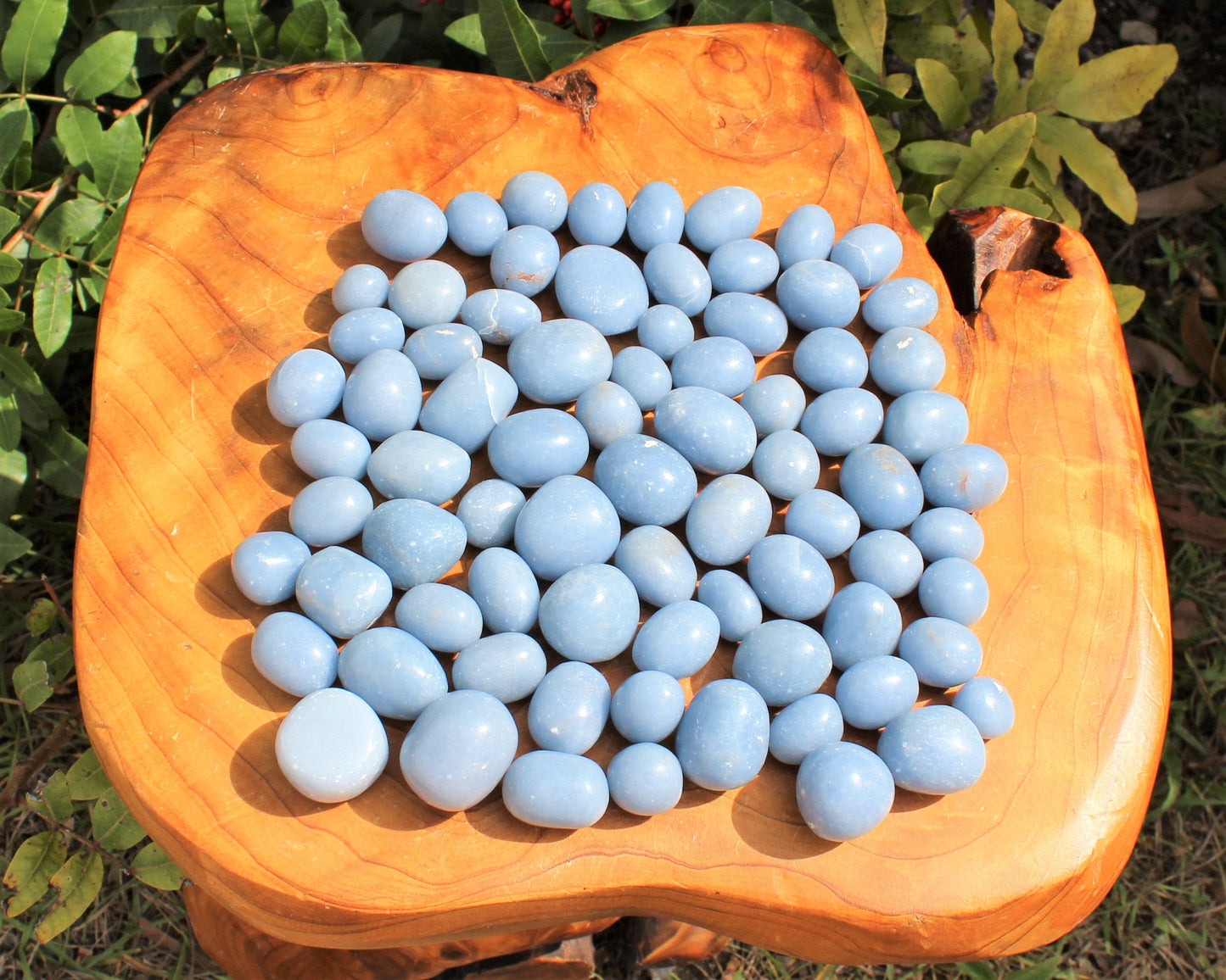 Angelite Tumbled Stones