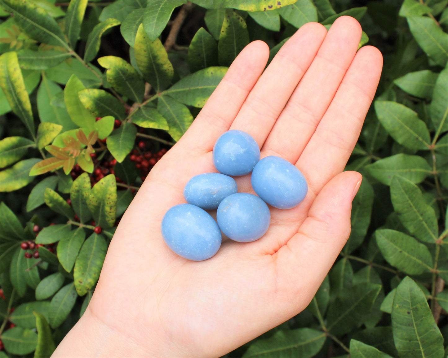 Angelite Tumbled Stones