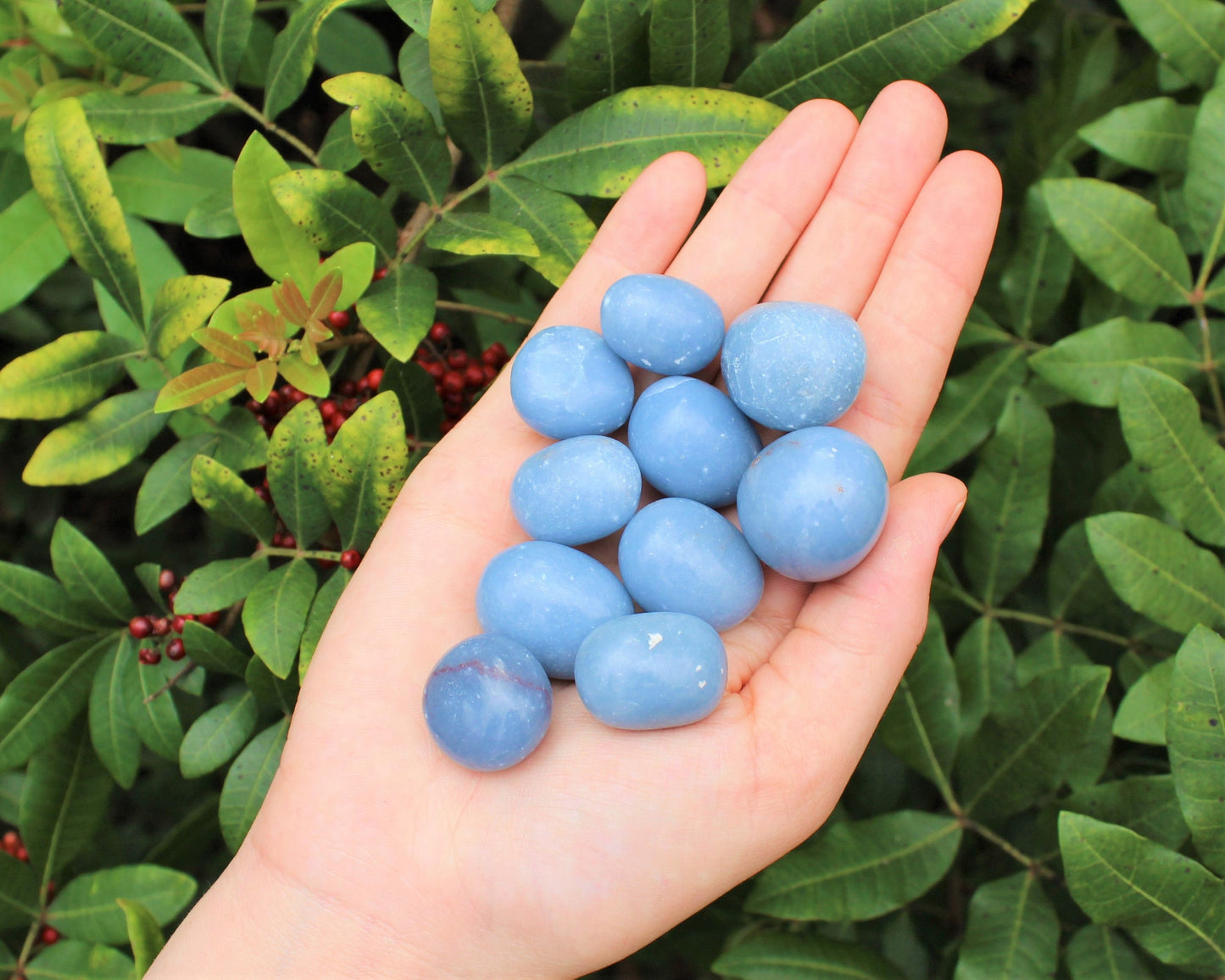 Angelite Tumbled Stones