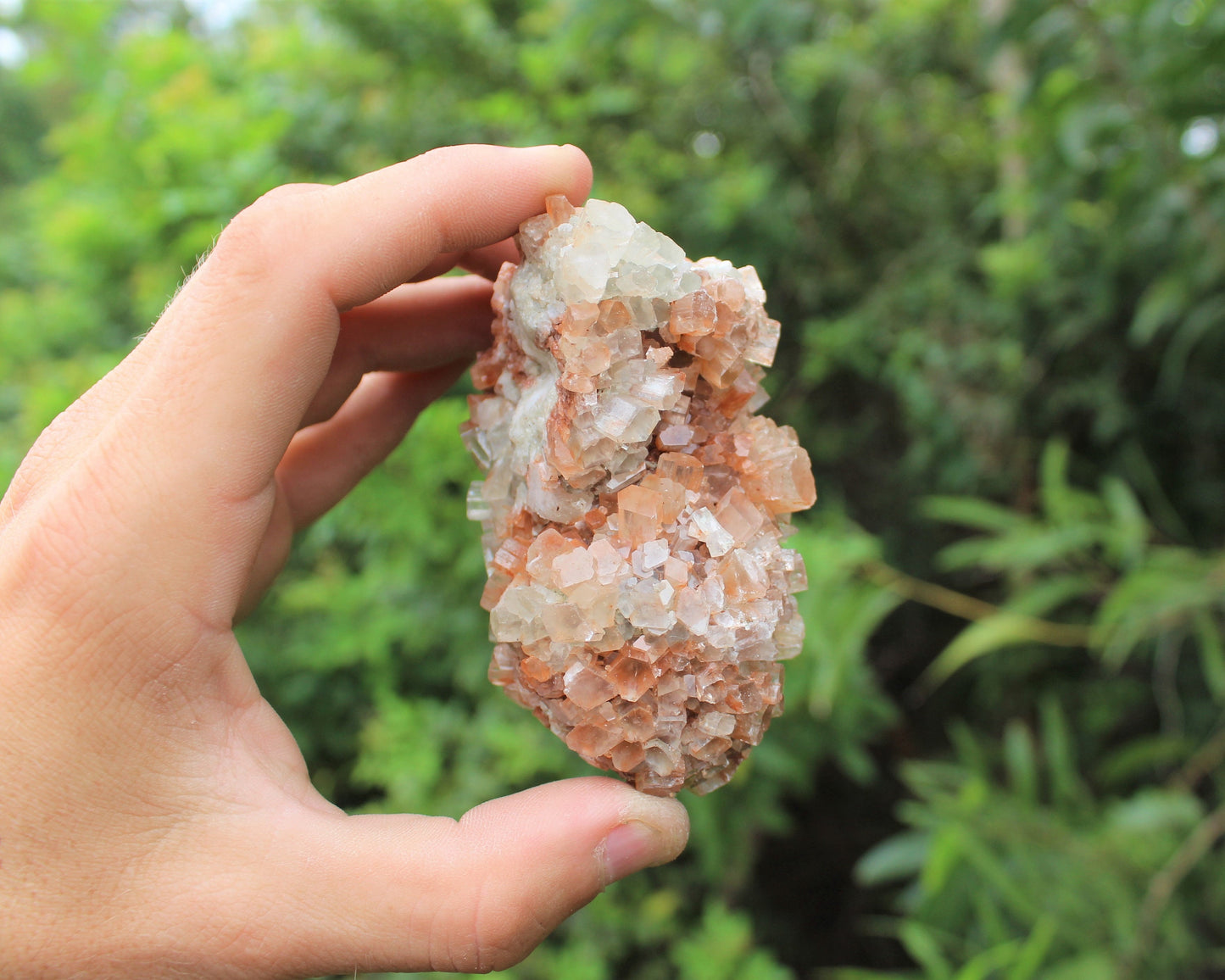 Aragonite Clusters From Morocco