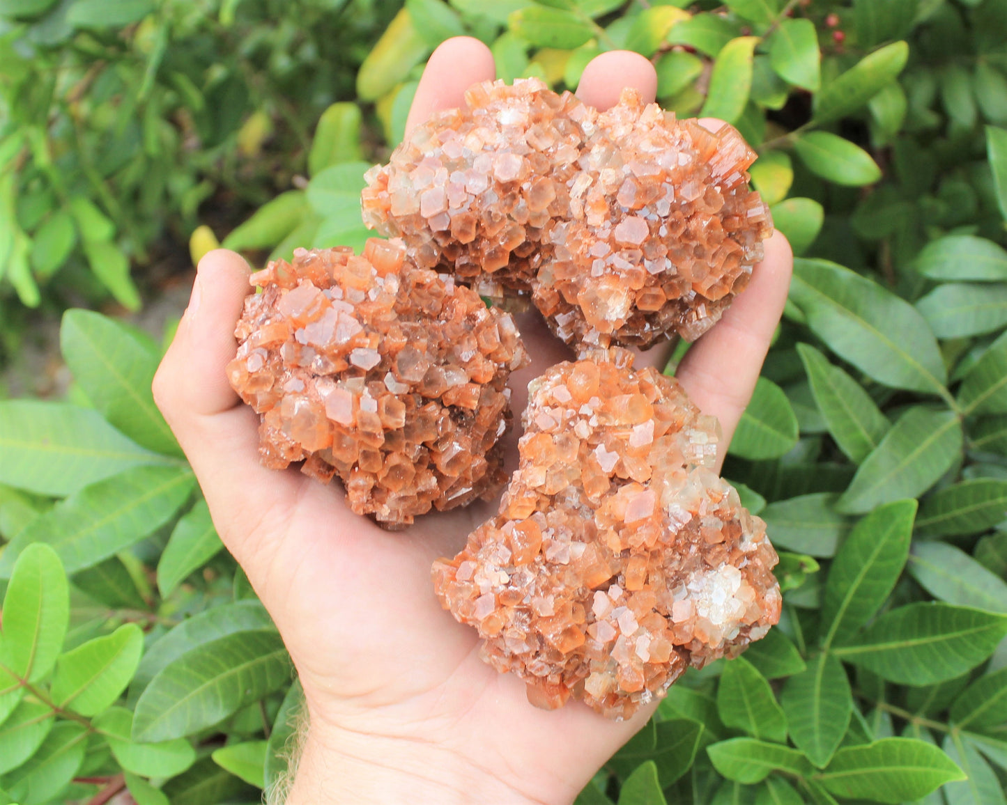 Aragonite Clusters From Morocco