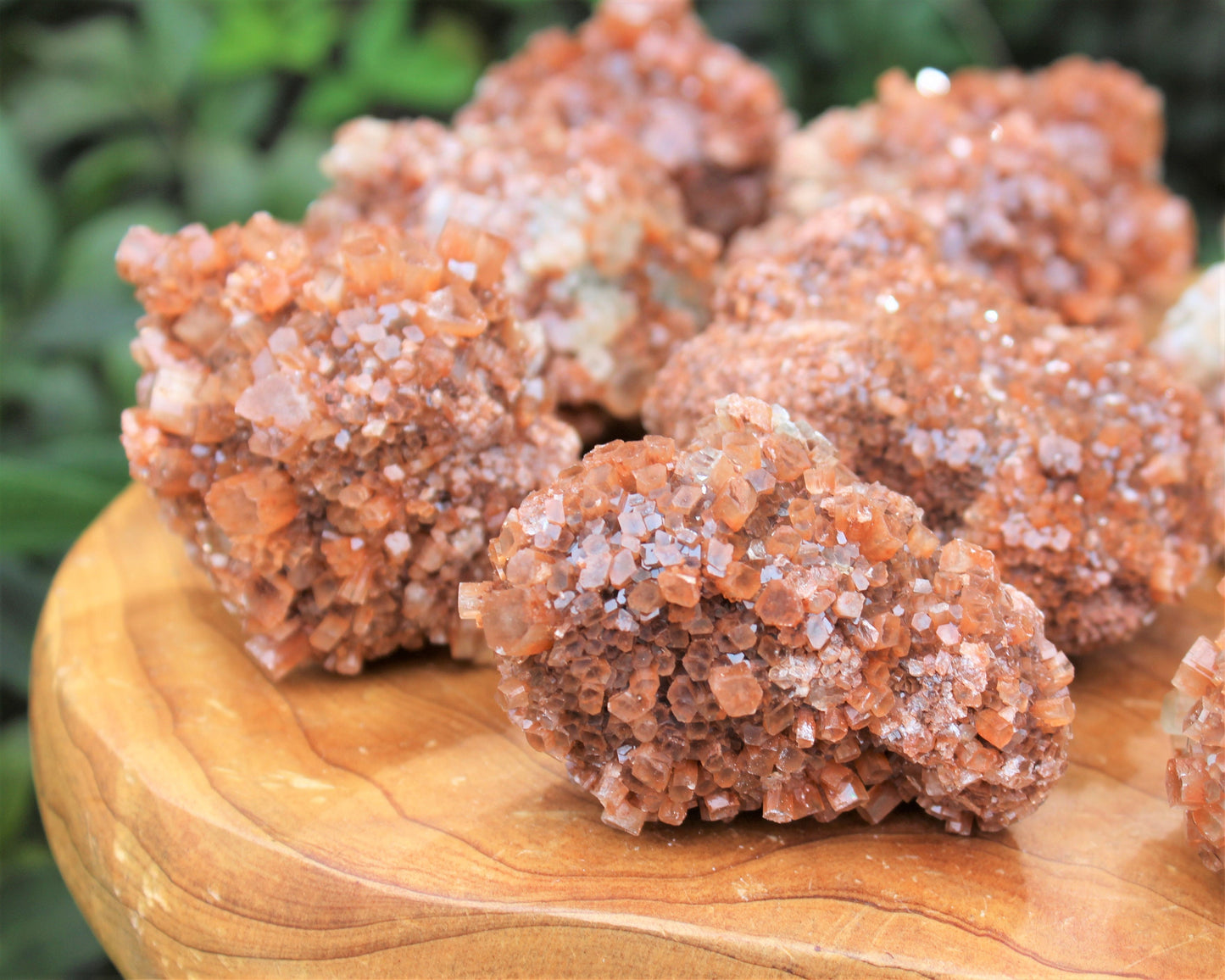 Aragonite Clusters From Morocco