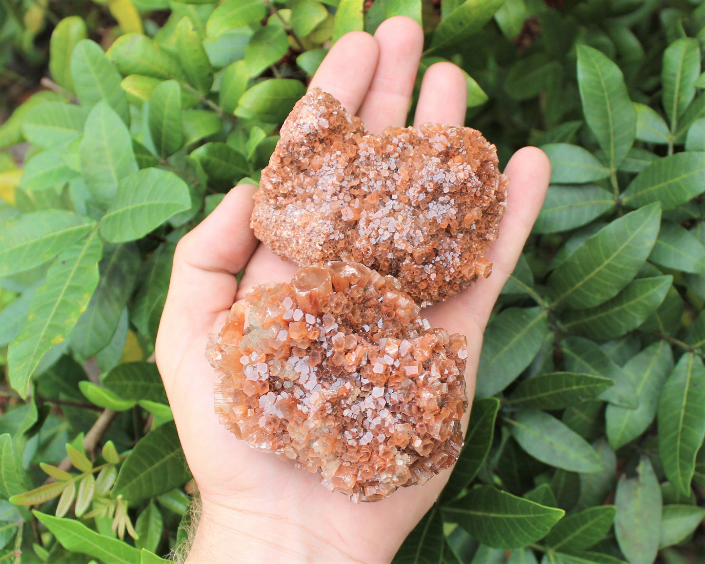 Aragonite Clusters From Morocco