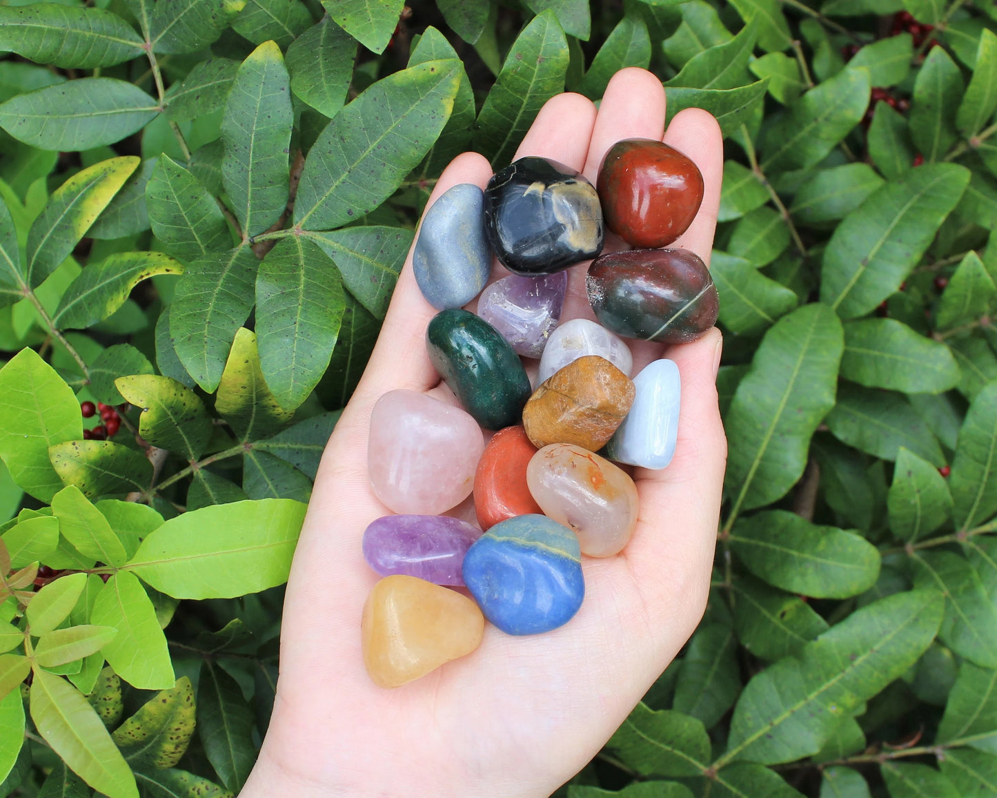 Assorted Mixed Medium Tumbled Stones