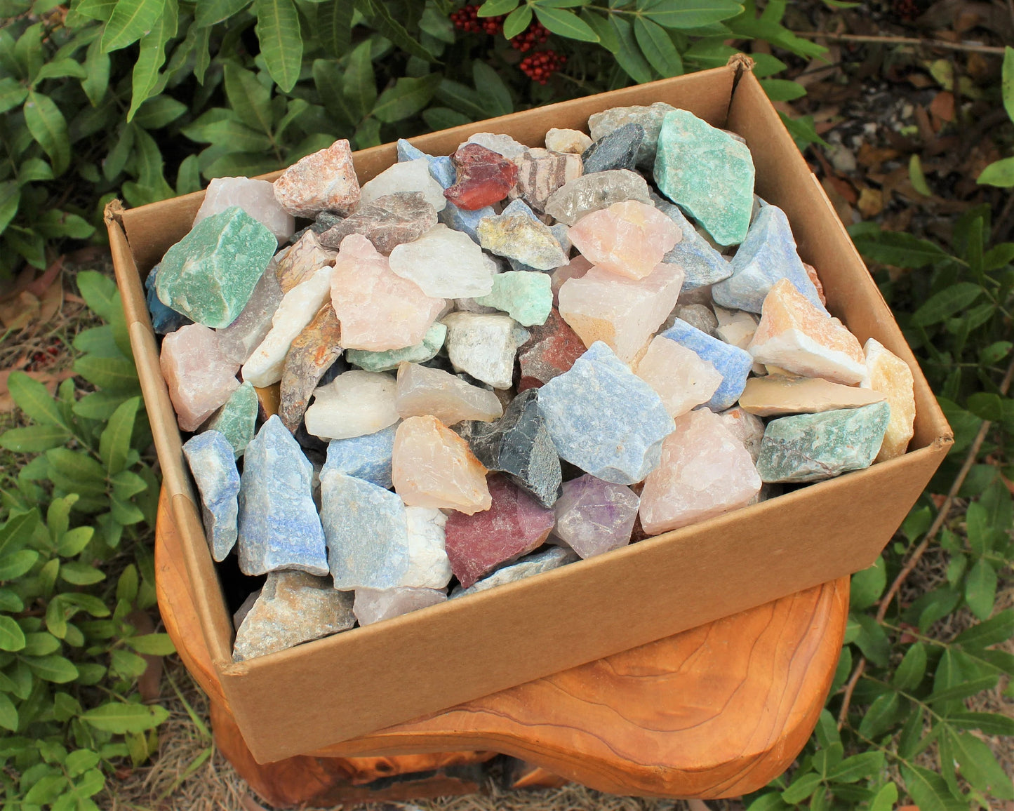 Assorted Natural Rough Crystals Box
