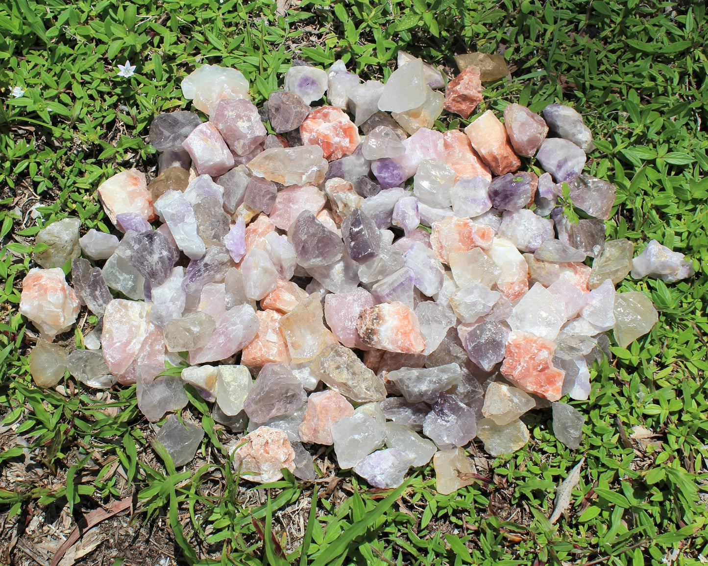 Assorted Natural Rough Crystals Box