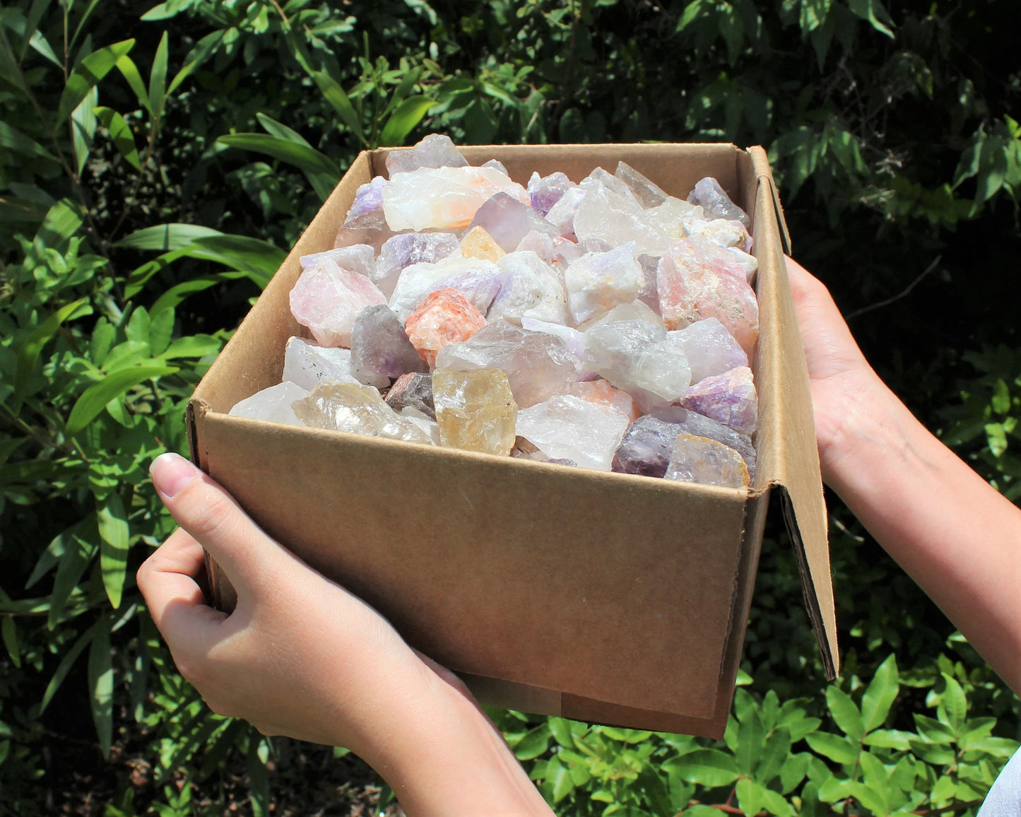 Assorted Natural Rough Crystals Box