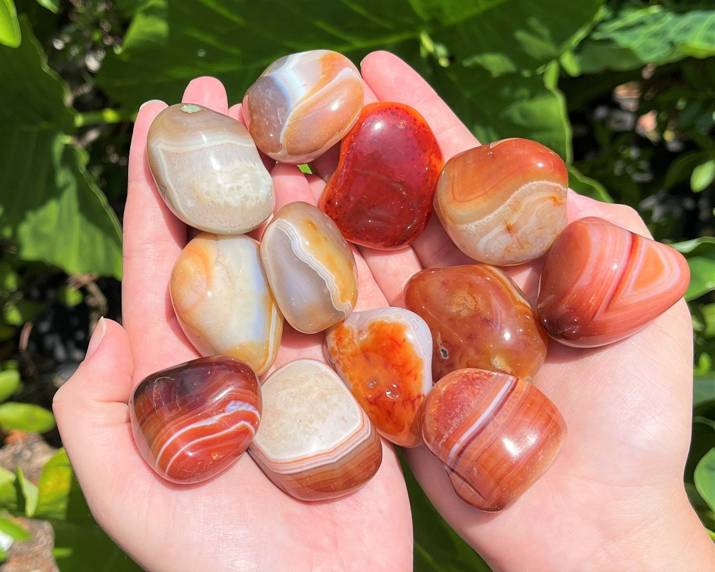 Banded Carnelian Tumbled Stones