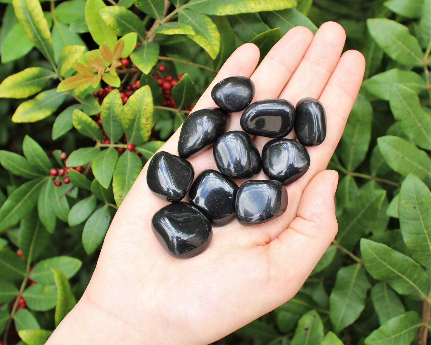 Black Agate Tumbled Stones