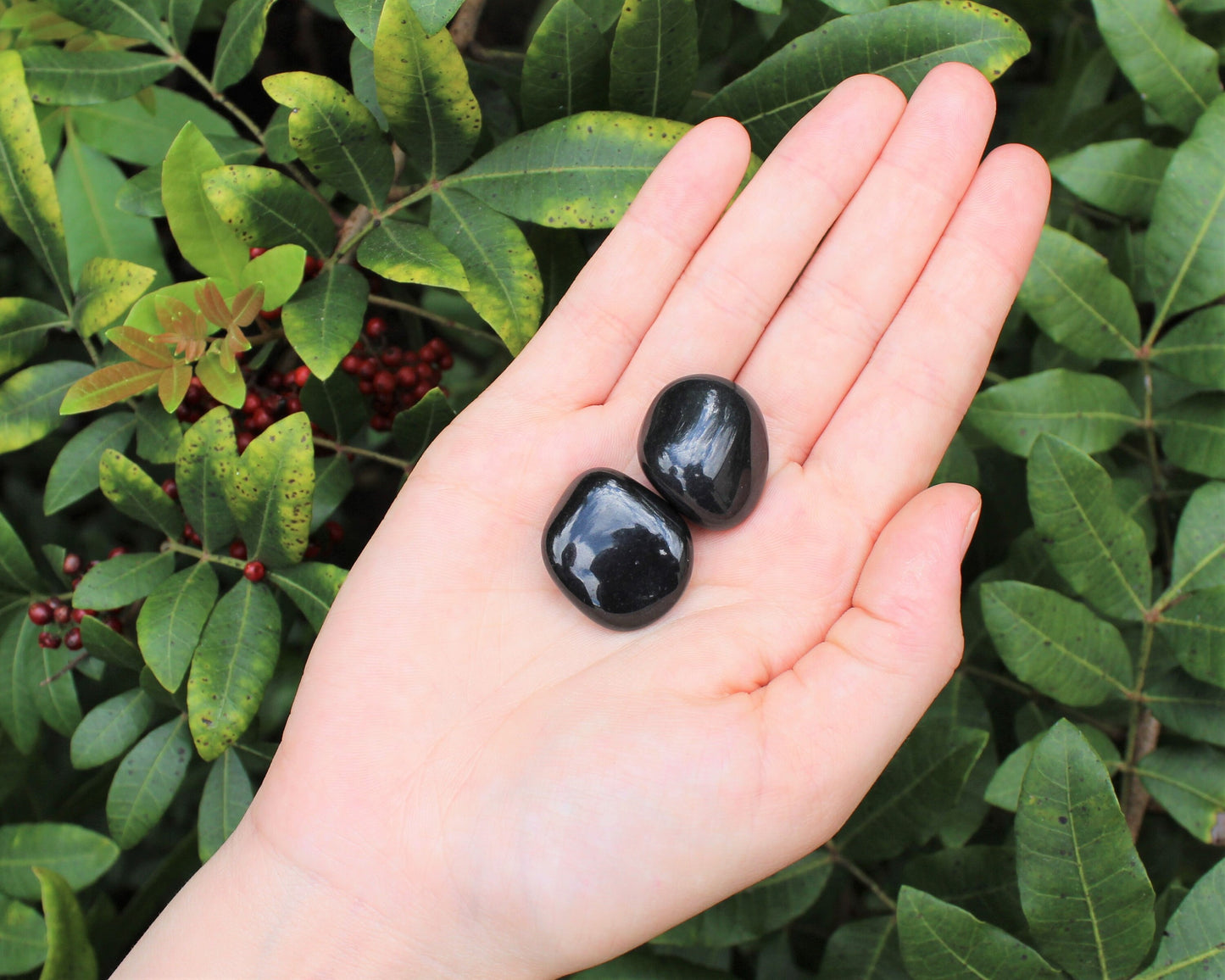 Black Agate Tumbled Stones