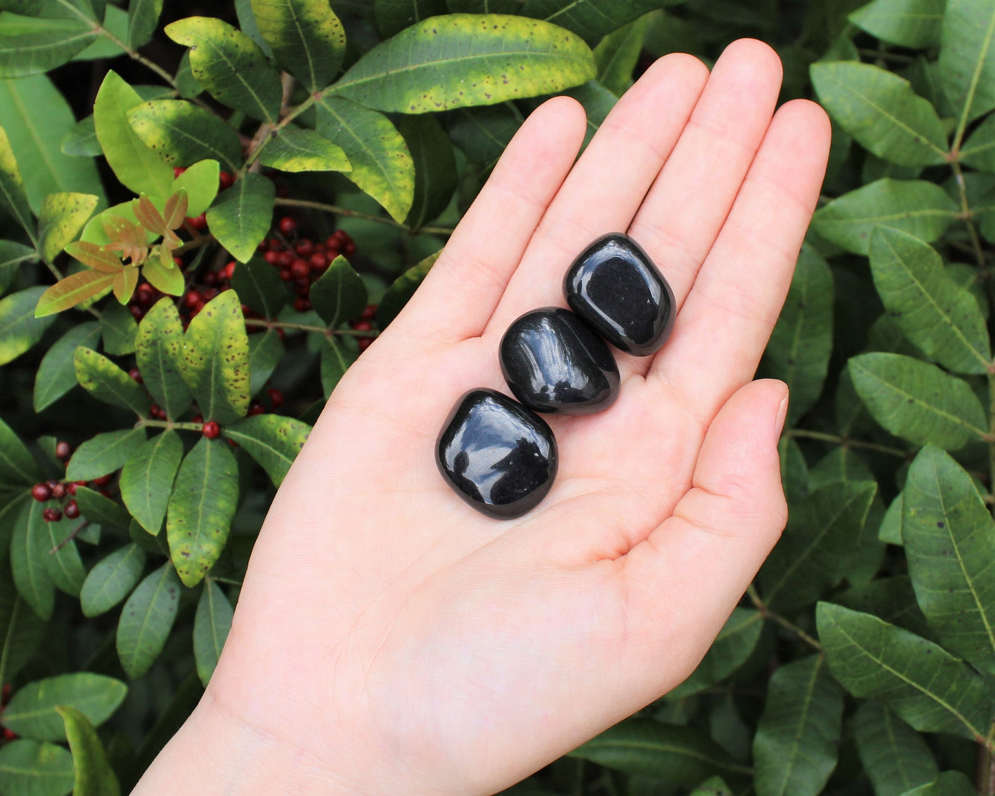 Black Agate Tumbled Stones