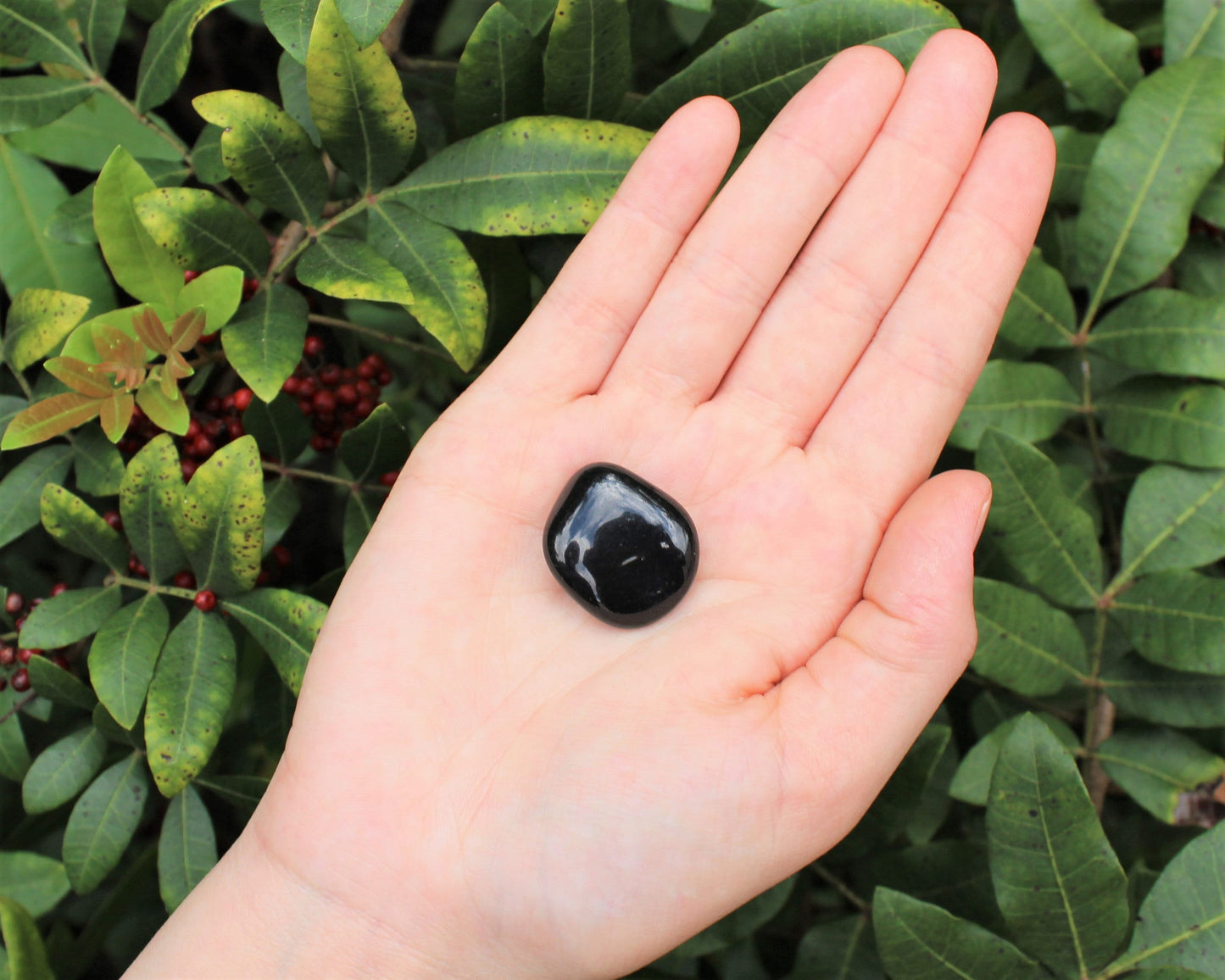 Black Agate Tumbled Stones