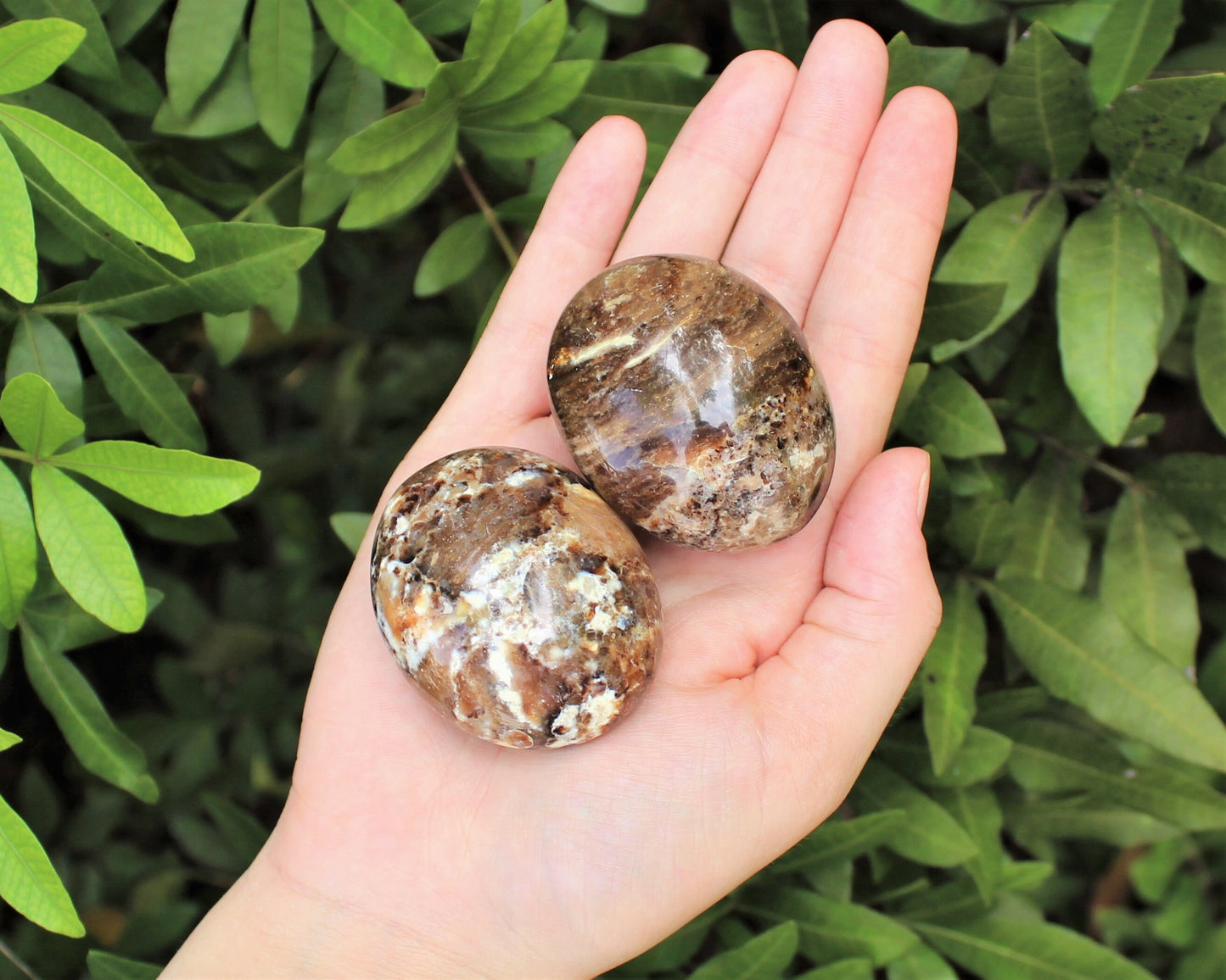 Opal Polished Stones