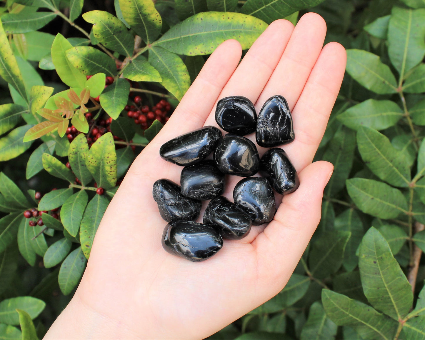 Tourmaline Tumbled Stones