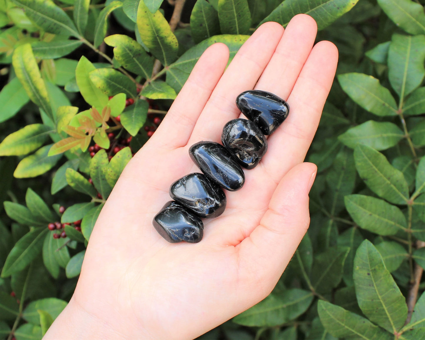 Tourmaline Tumbled Stones
