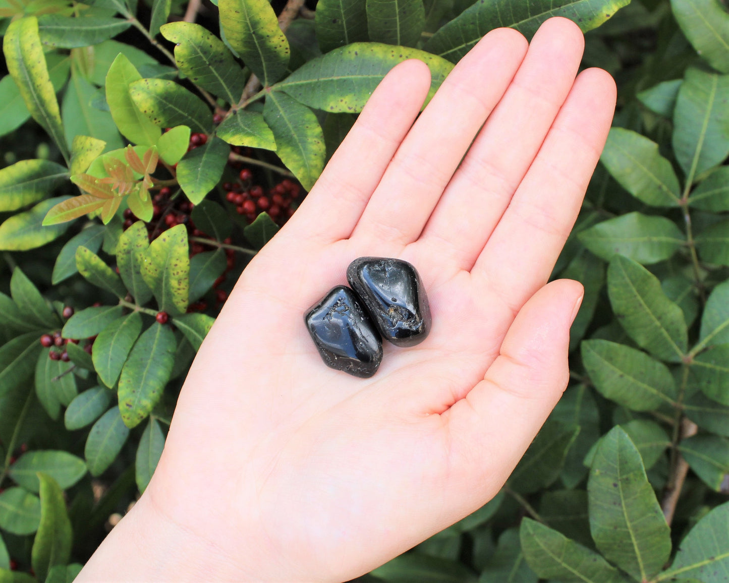 Tourmaline Tumbled Stones