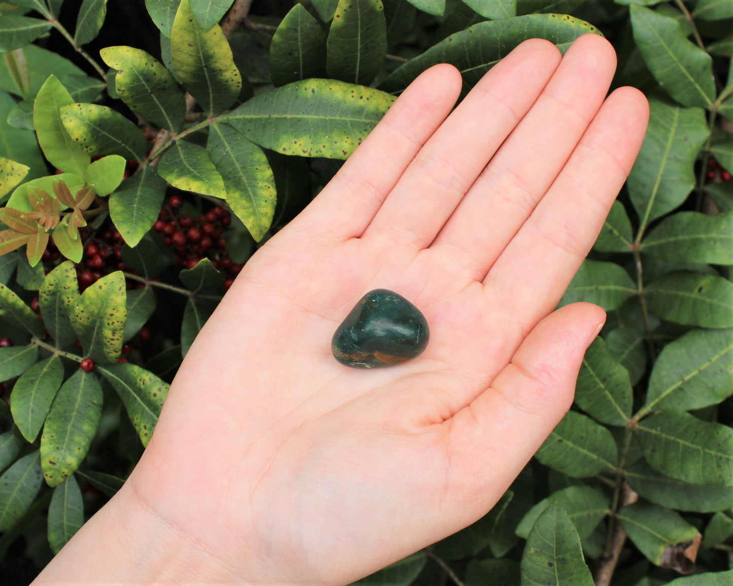 Bloodstone Tumbled Stones