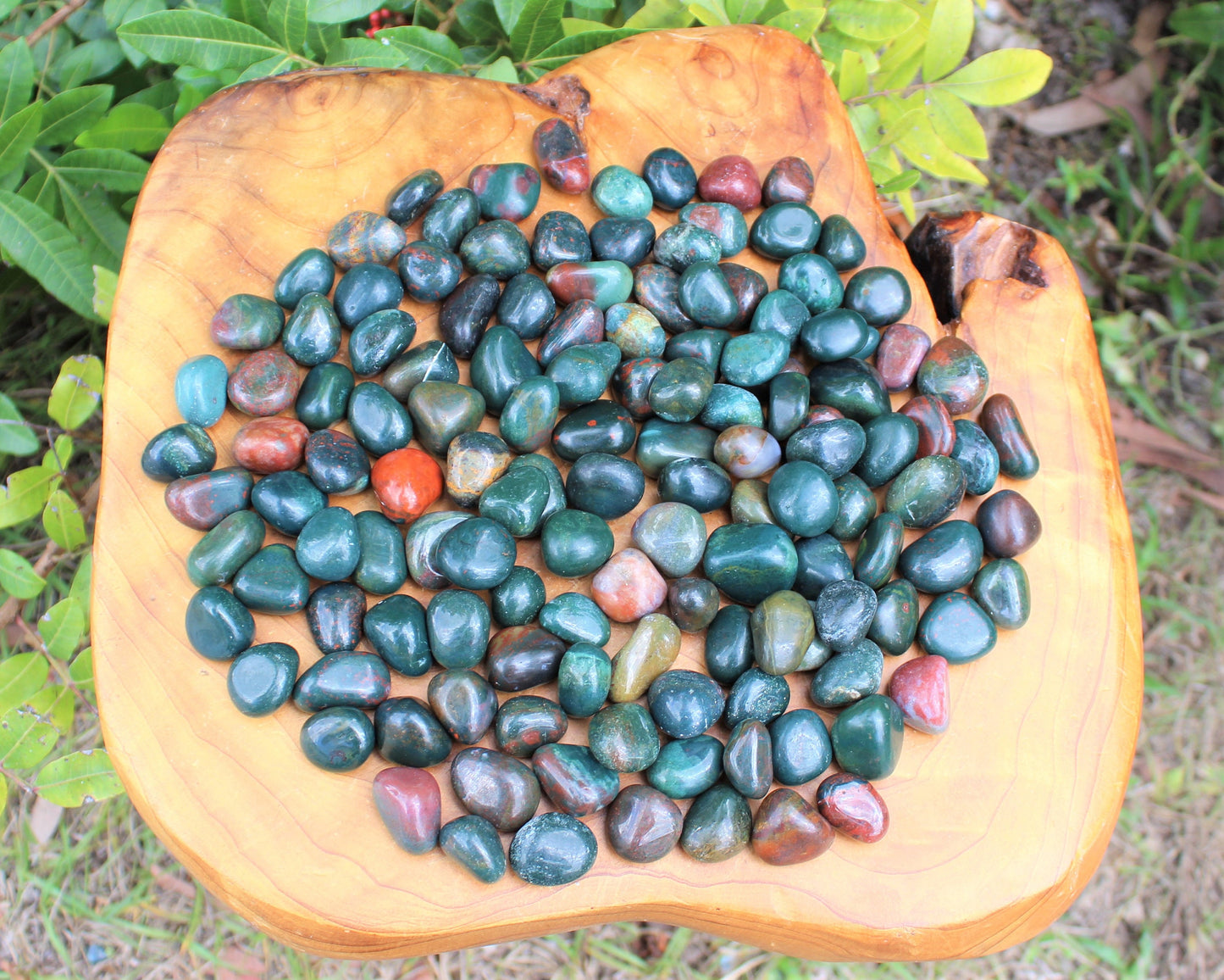 Bloodstone Tumbled Stones