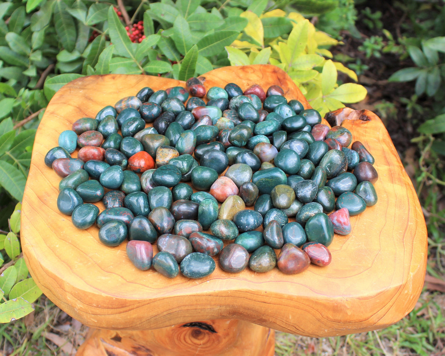 Bloodstone Tumbled Stones