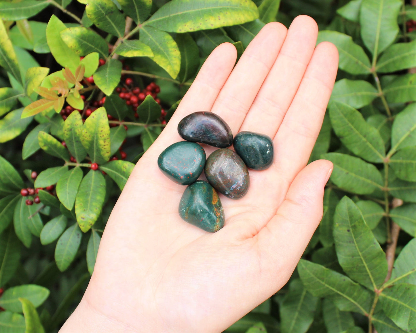 Bloodstone Tumbled Stones