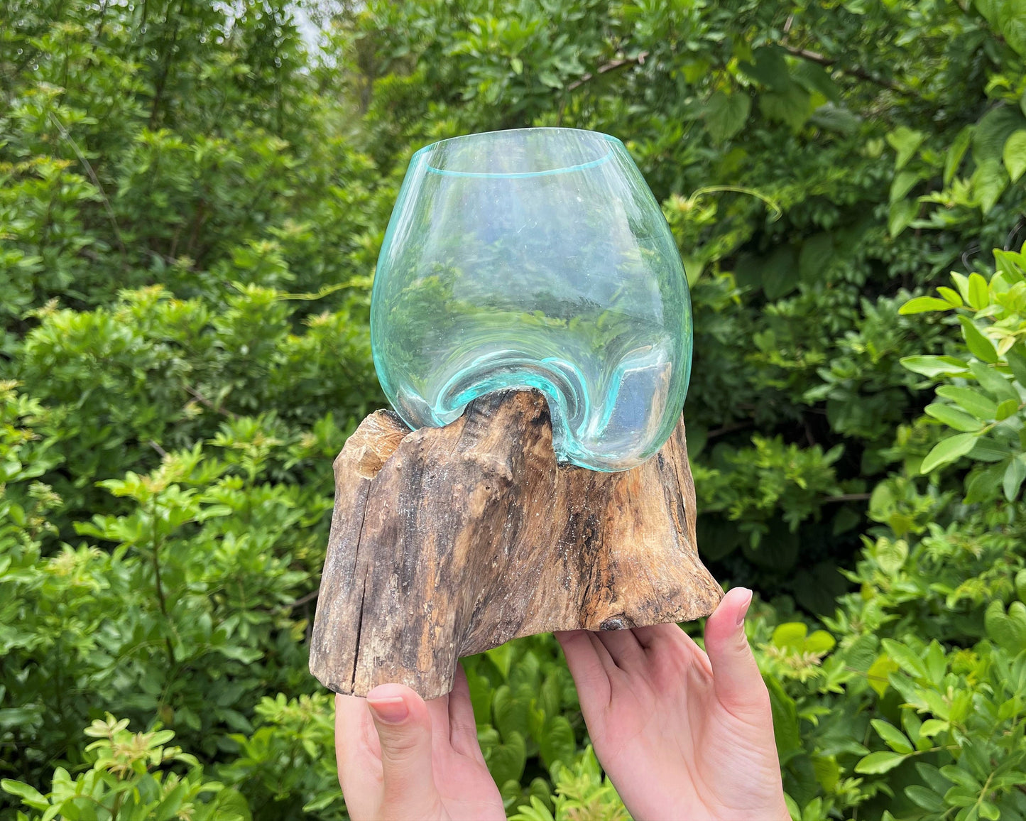 Blown Glass Wood Terrarium