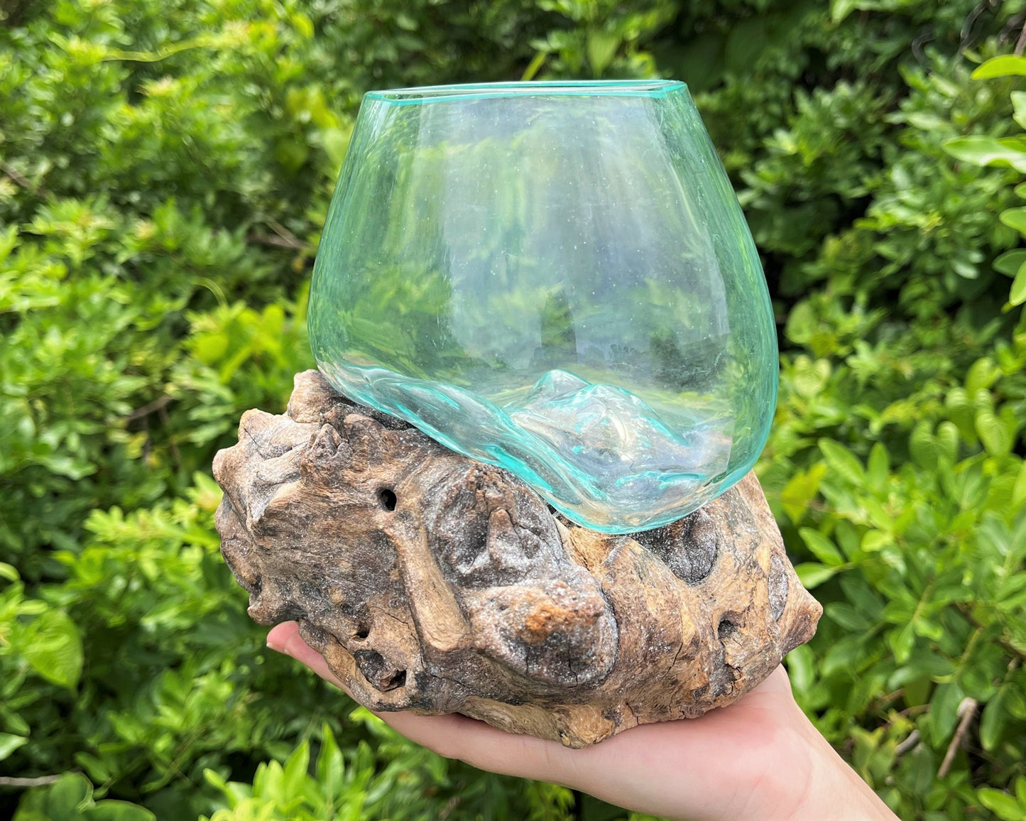 Blown Glass Wood Terrarium