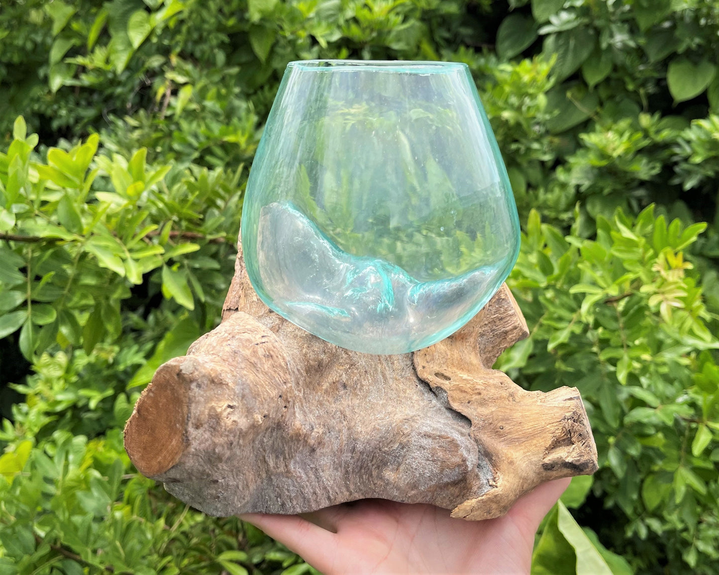 Blown Glass Wood Terrarium