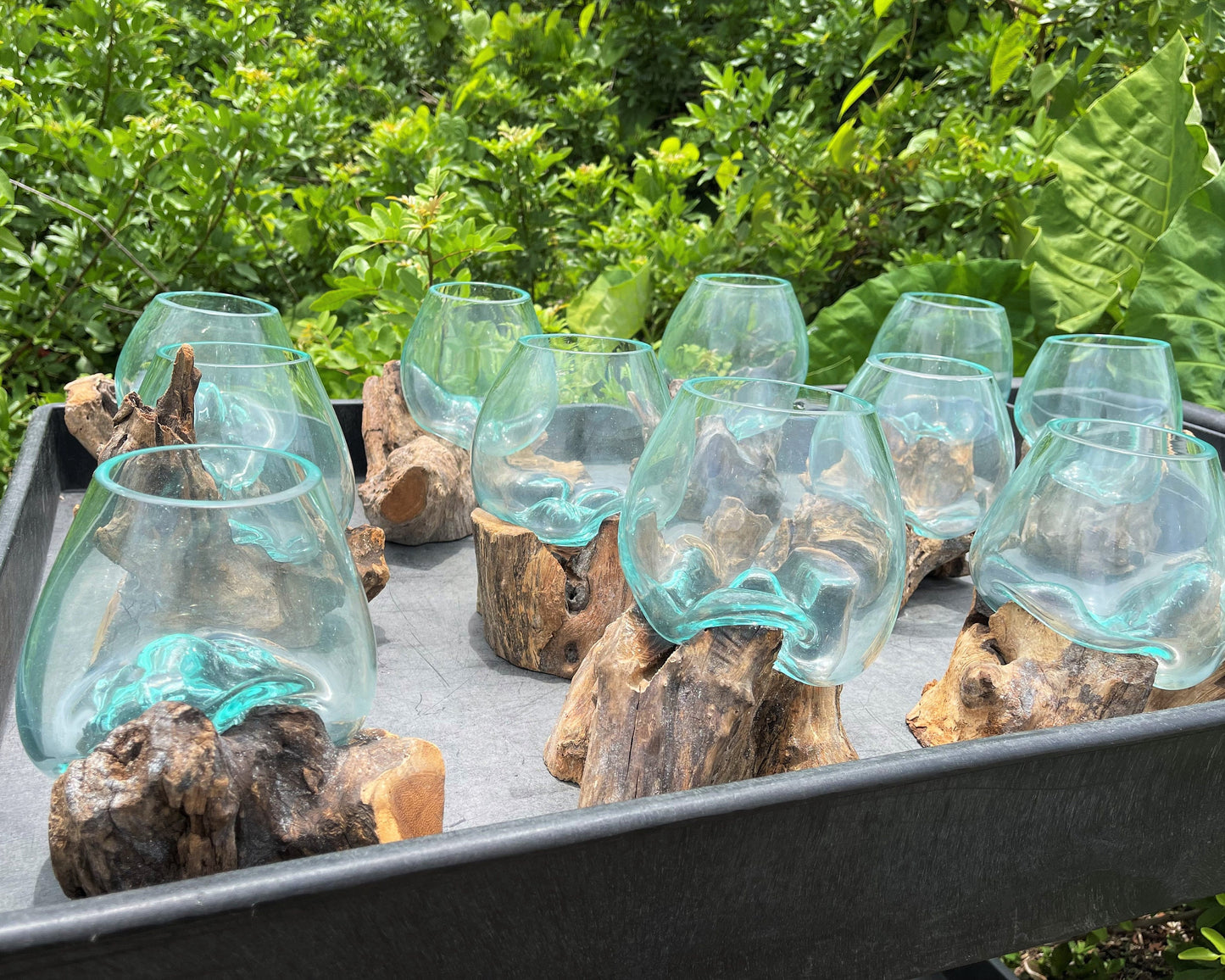 Blown Glass Wood Terrarium