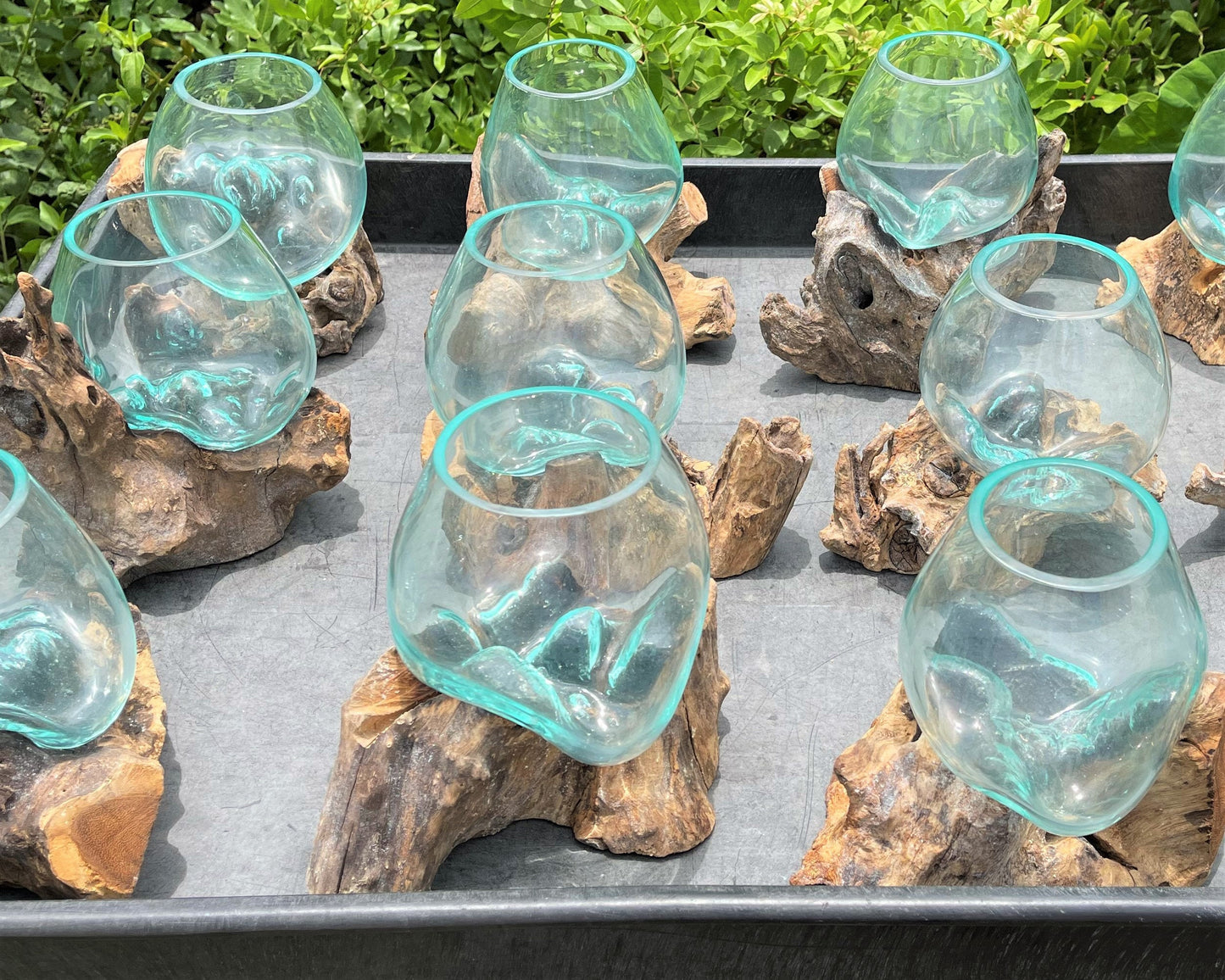Blown Glass Wood Terrarium