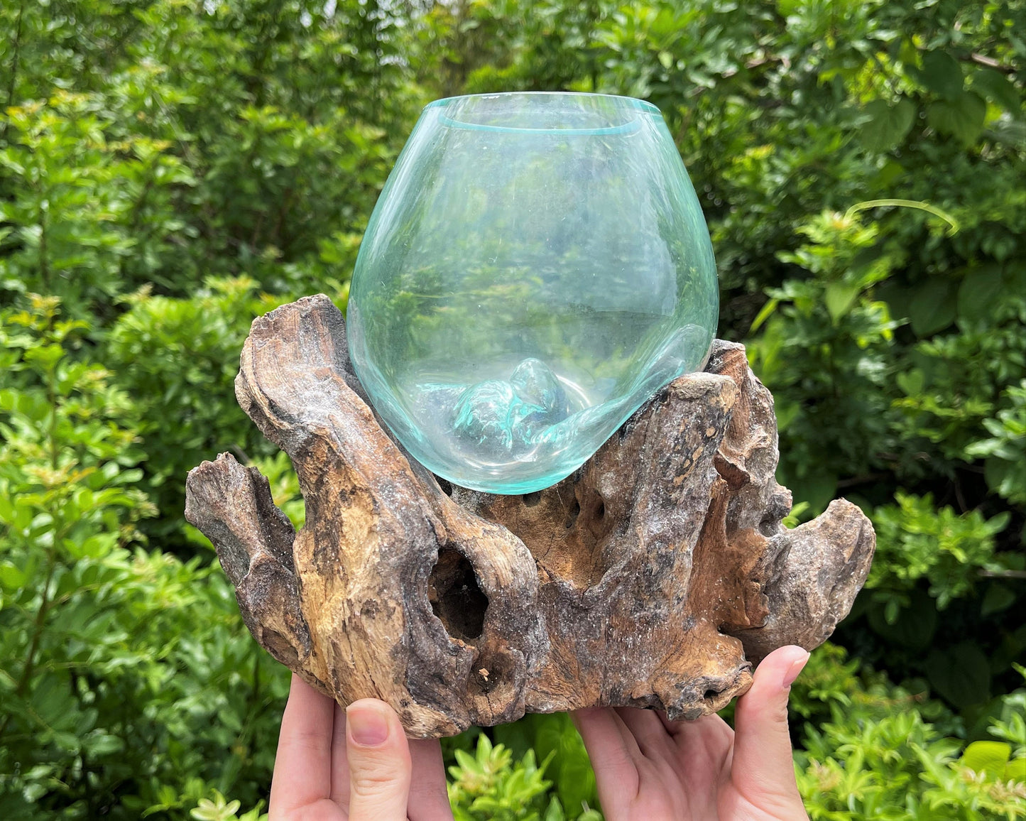 Blown Glass Wood Terrarium
