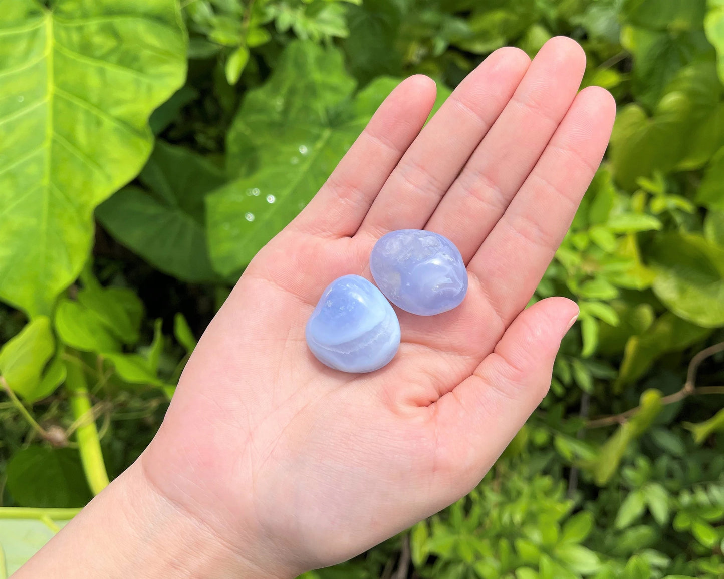 Elegant Lace Agate Tumbled Stones