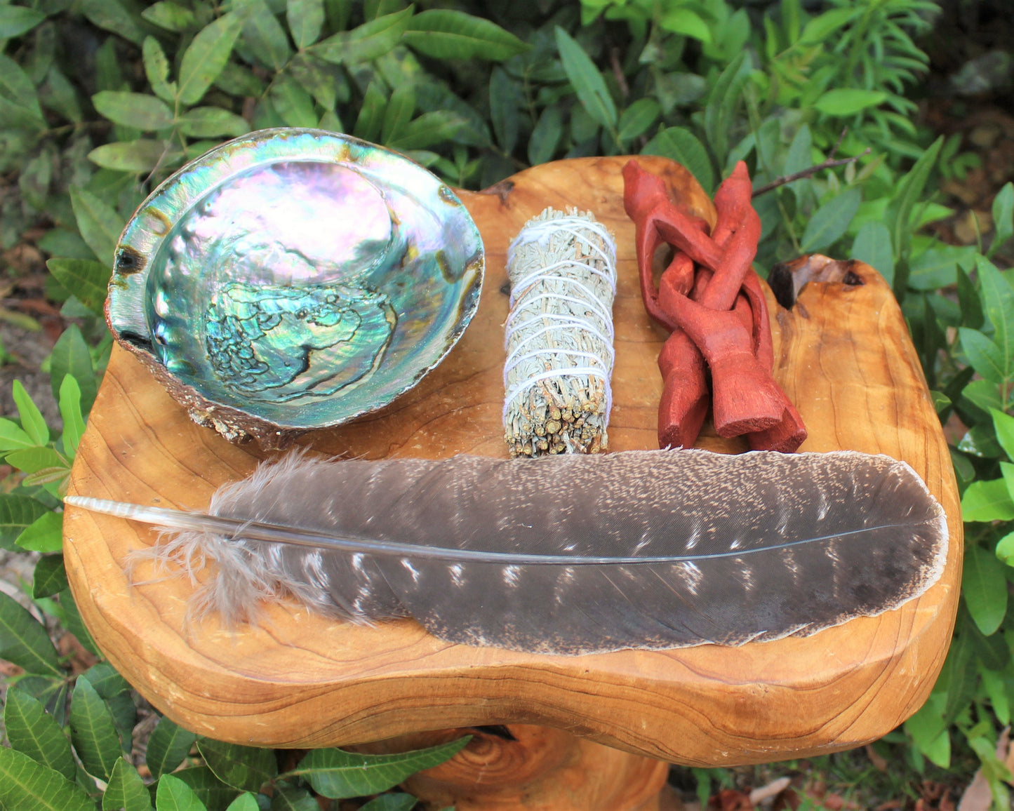 Sage Abalone Shell