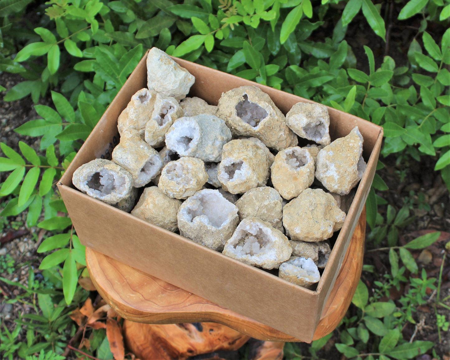 Break Your Own Geodes Box Lots