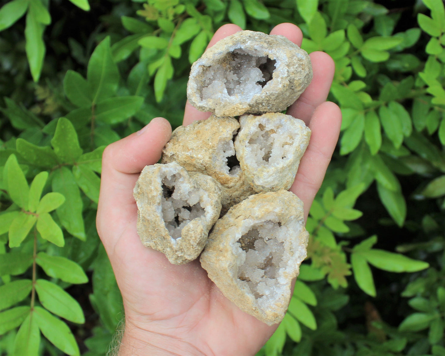 Break Your Own Geodes Box Lots